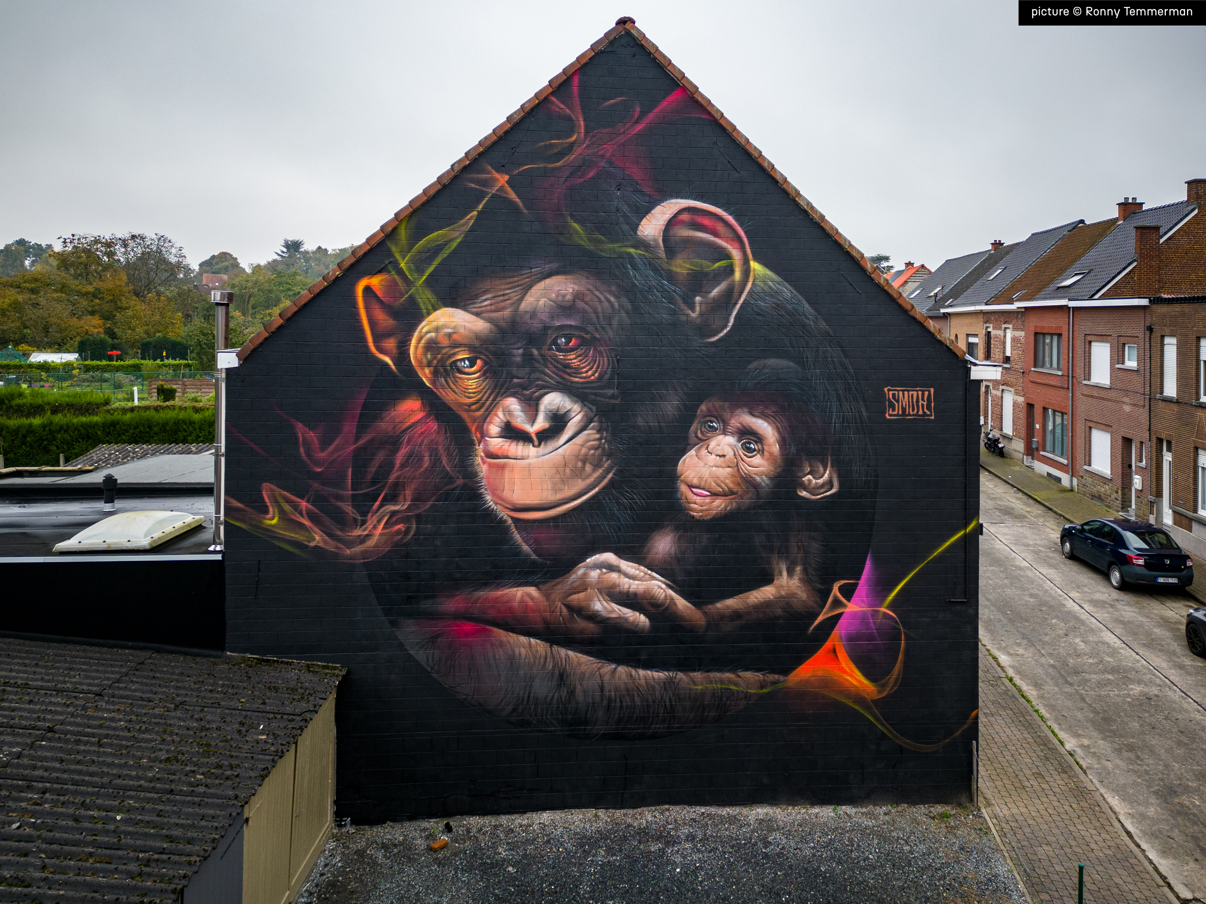a mural of a mother and baby chimpansee by SMOK