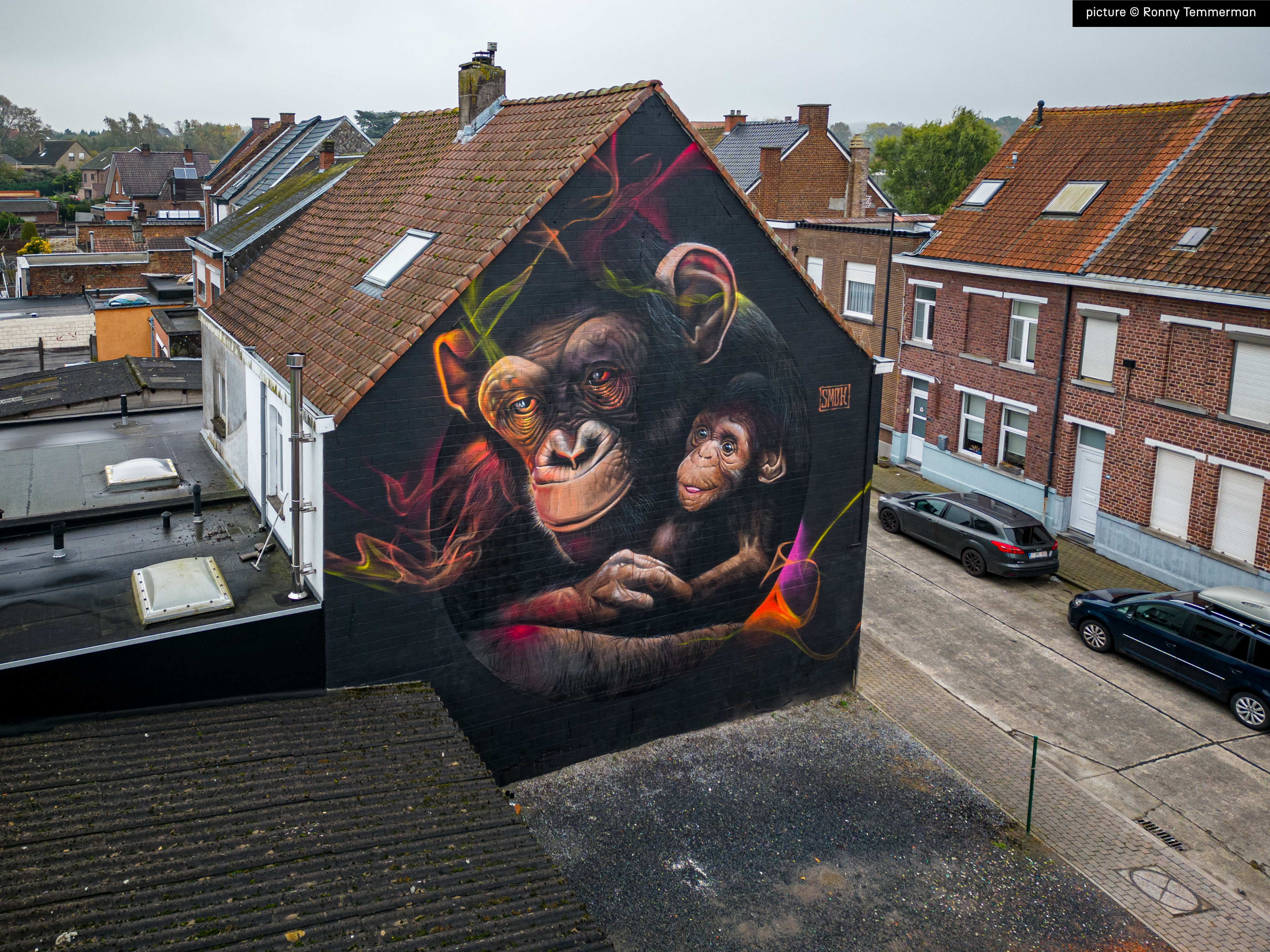 A fresco in Ronse, Belgium by SMOK