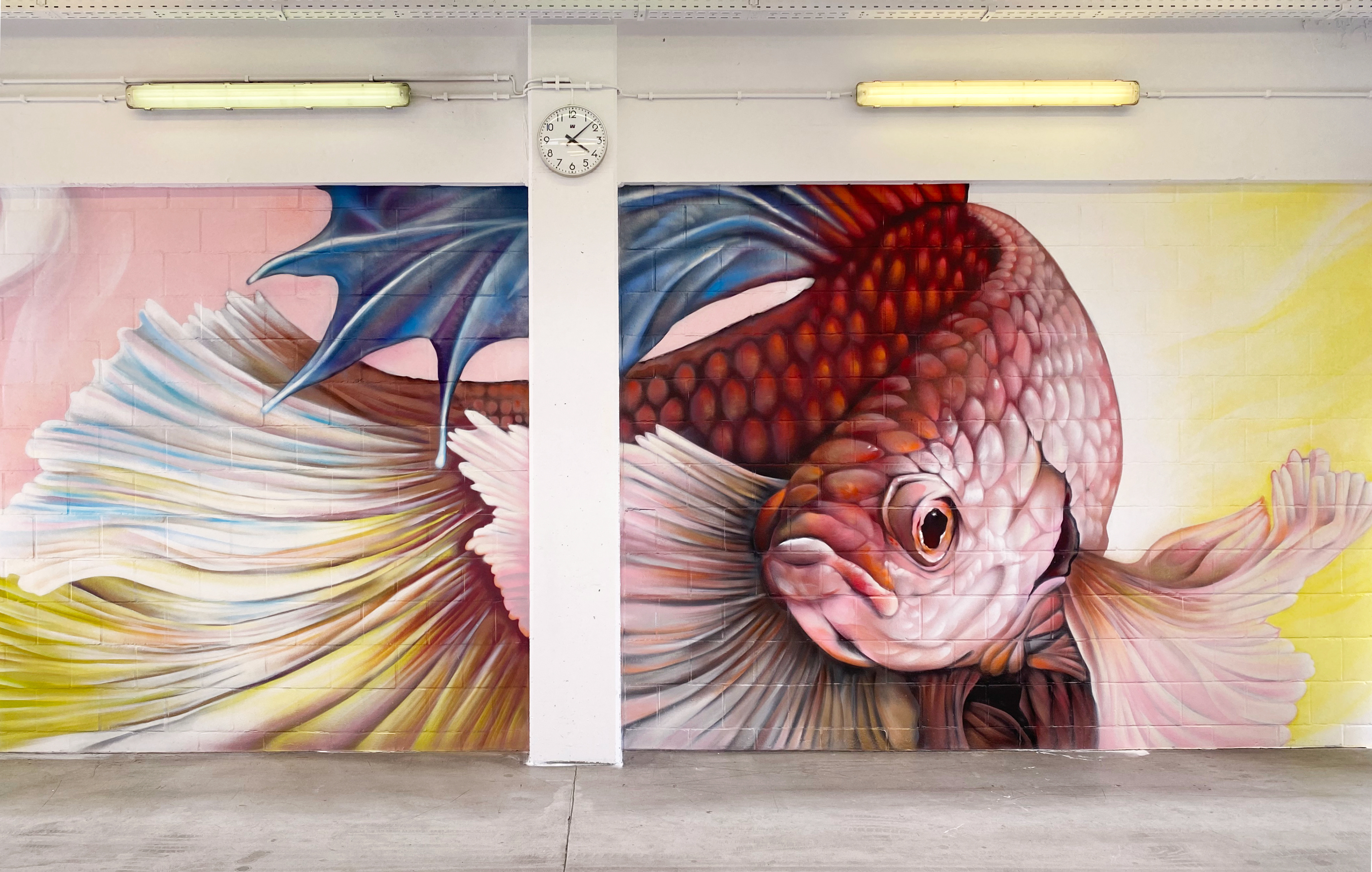Mural of a Betta fish at the emergency of AZ Klina