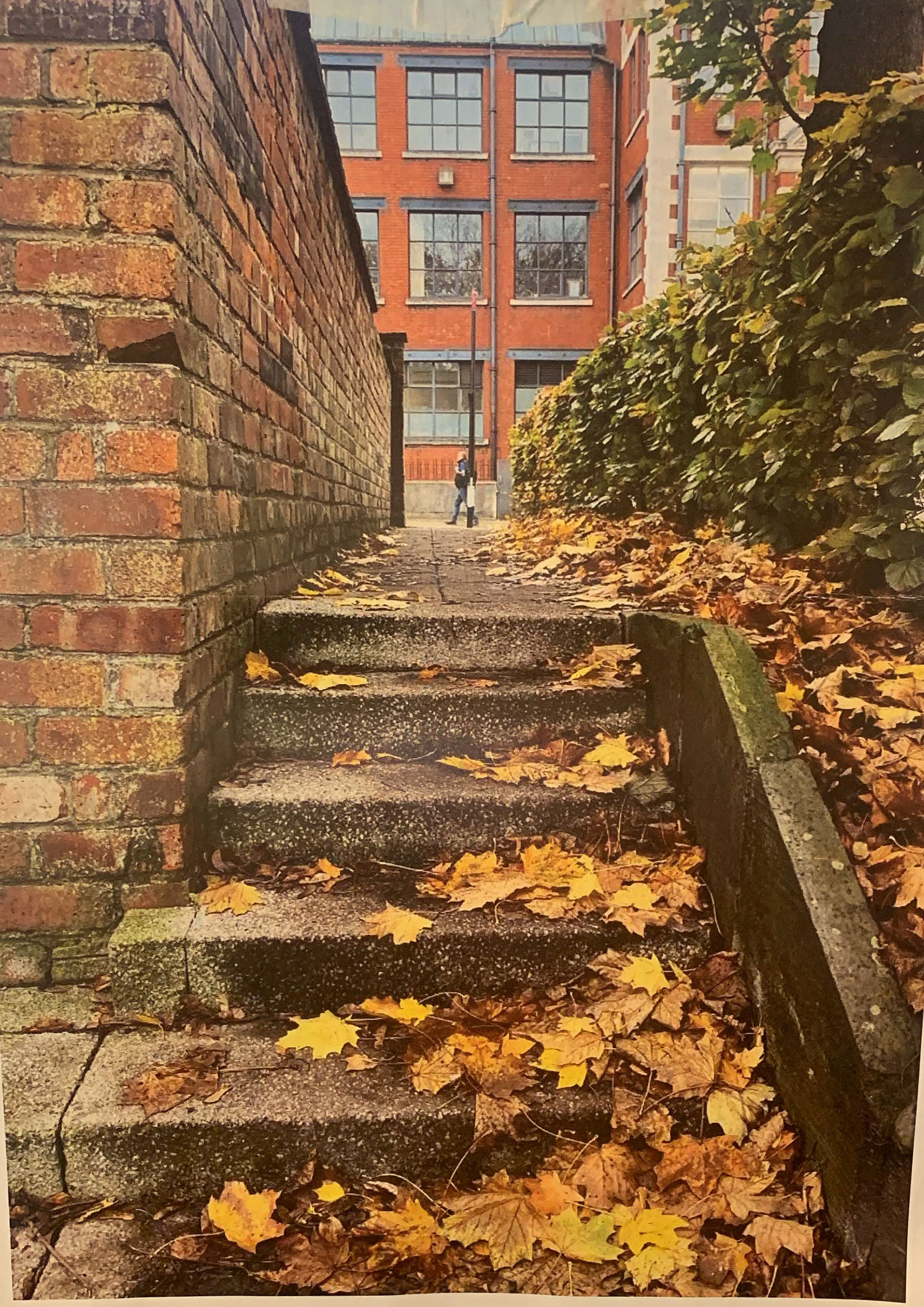 a picture from a group session of stairs