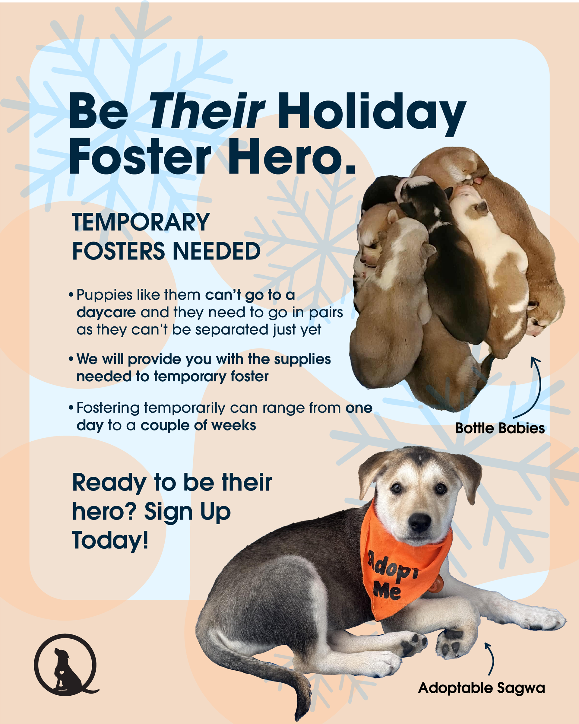 Temporary Foster Infographic