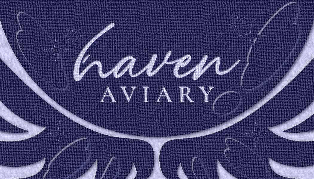 Front of Business Card Design