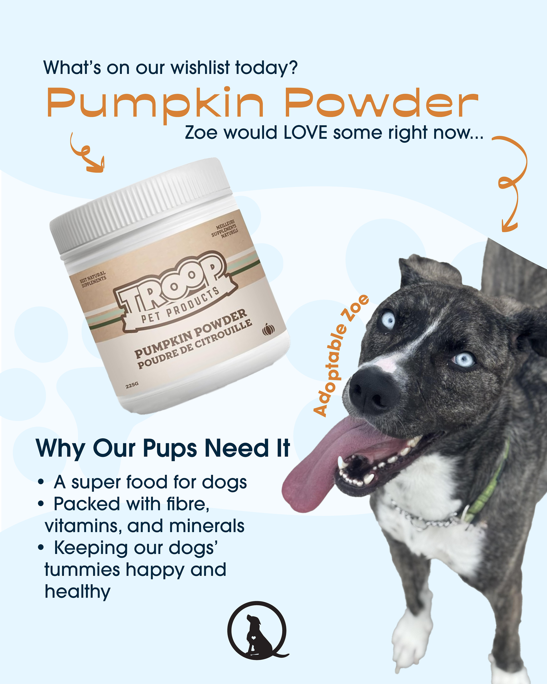 All About Pumpkin Powder Infographic