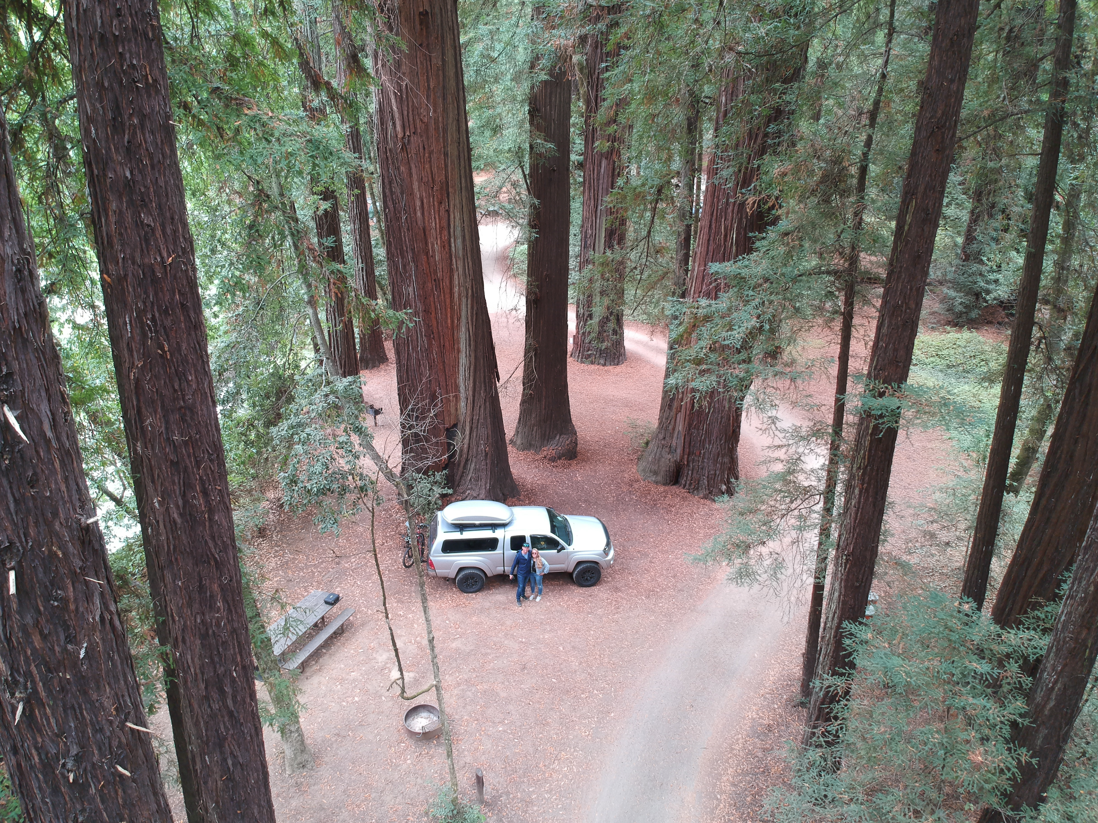 camping in the Redwoods, 2023
