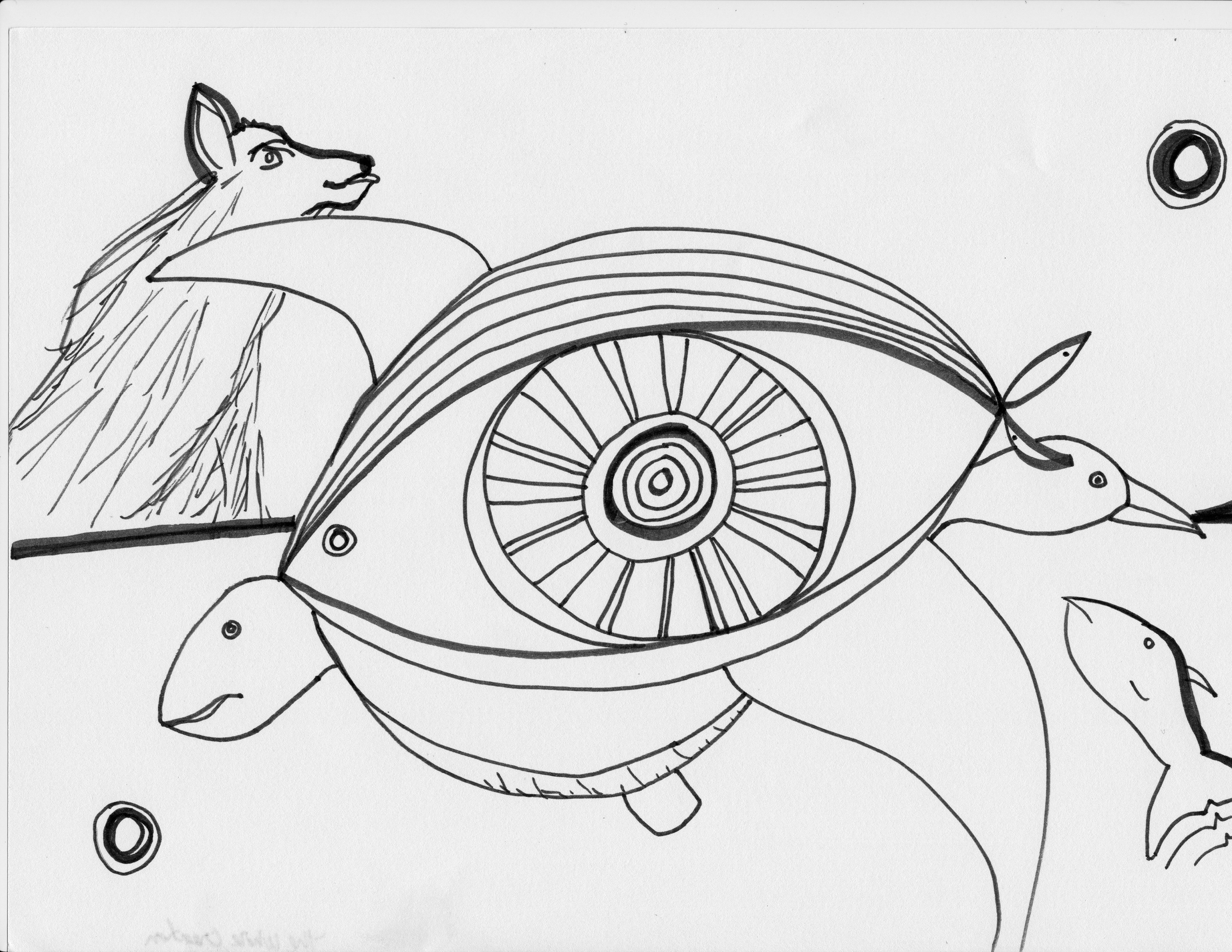The Whole Creation SEA Doodle