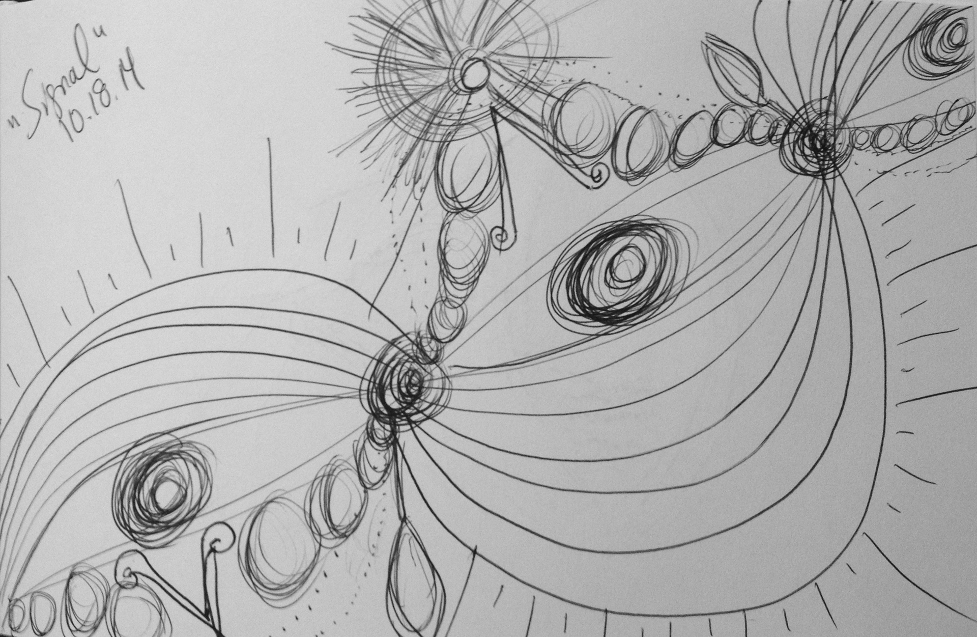 Signal SEA Sketch