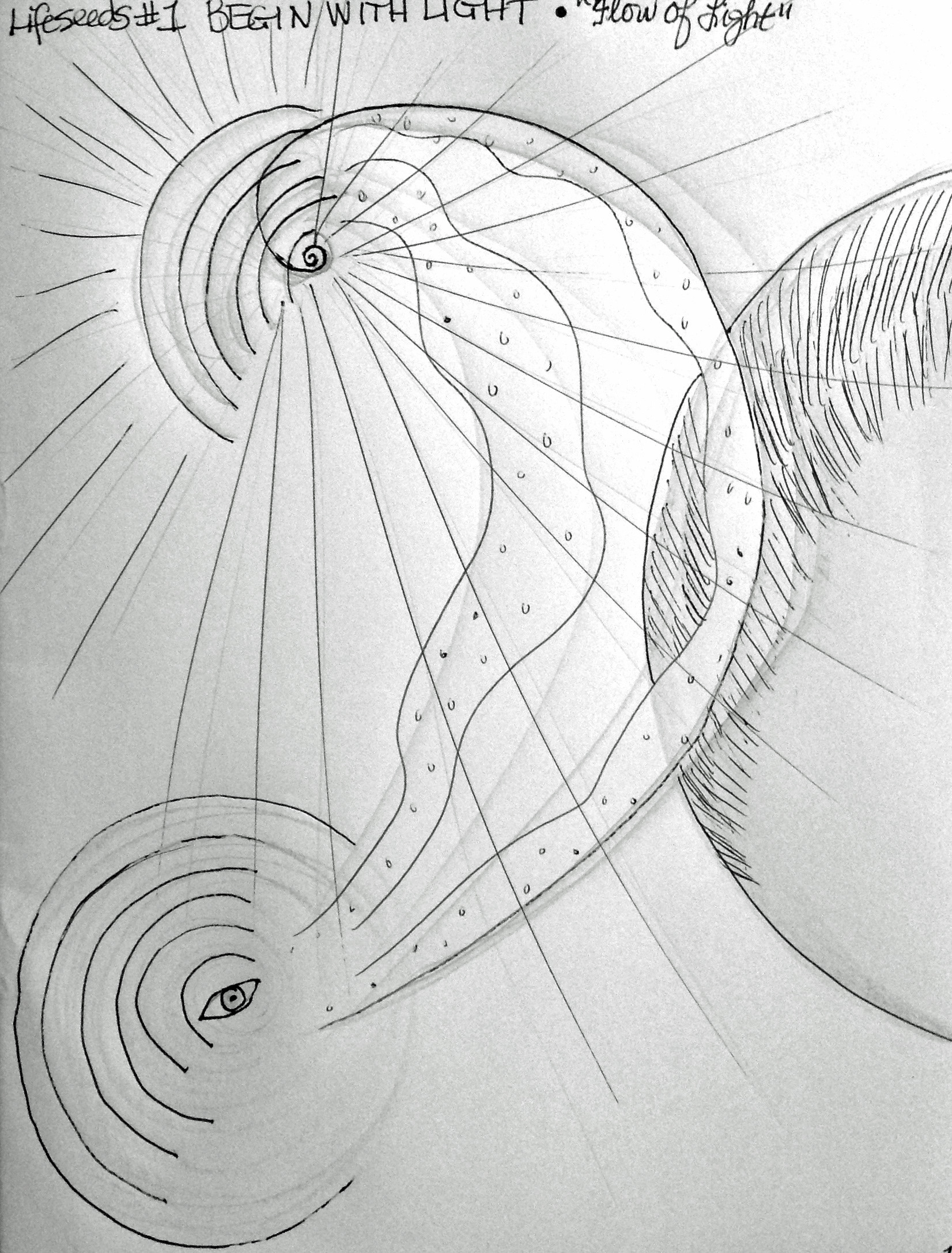 Begin with Light SEA Sketch