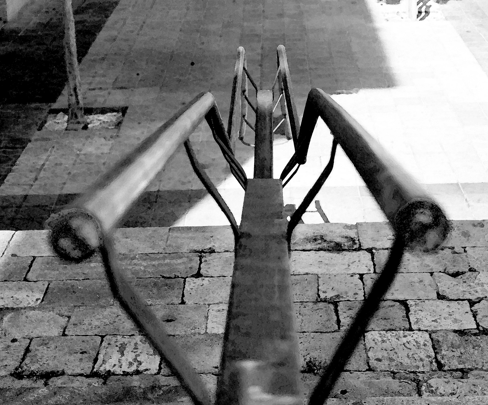 Explorant escales, de pujada i baixada. Camí compartit.