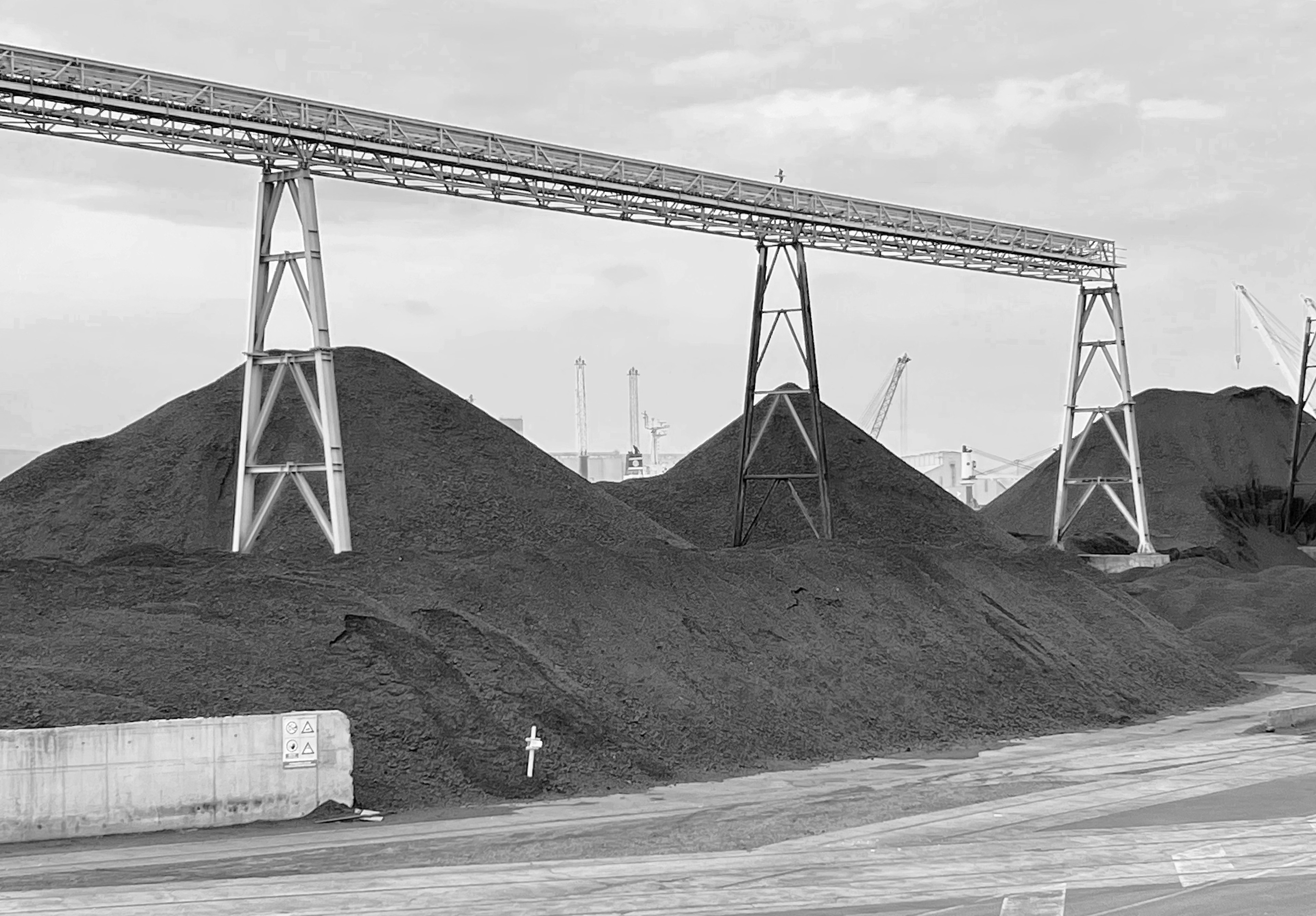 Estadística. Distribució normal?