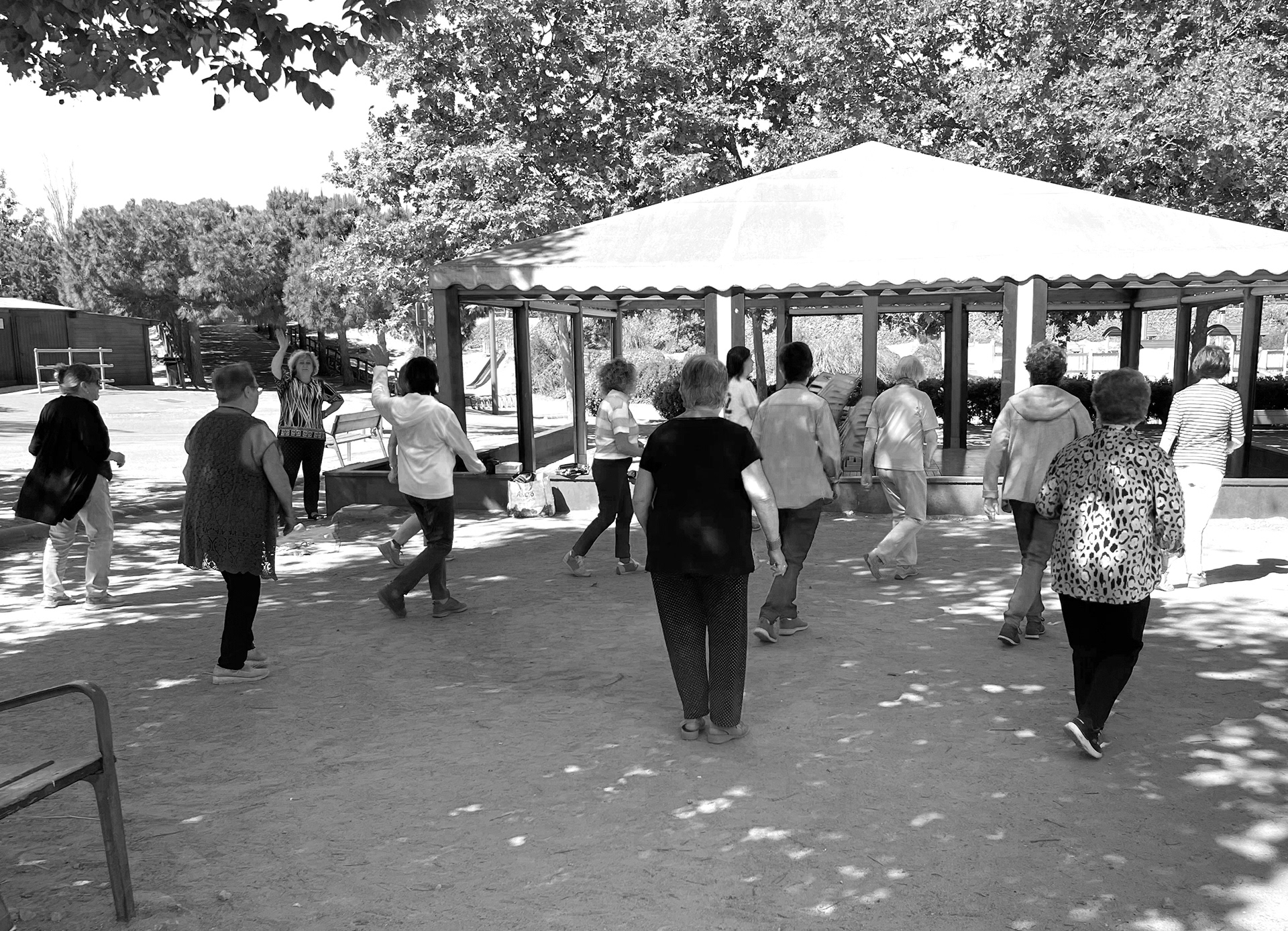 Sí,potser no ho sembla, però estem sembrant.