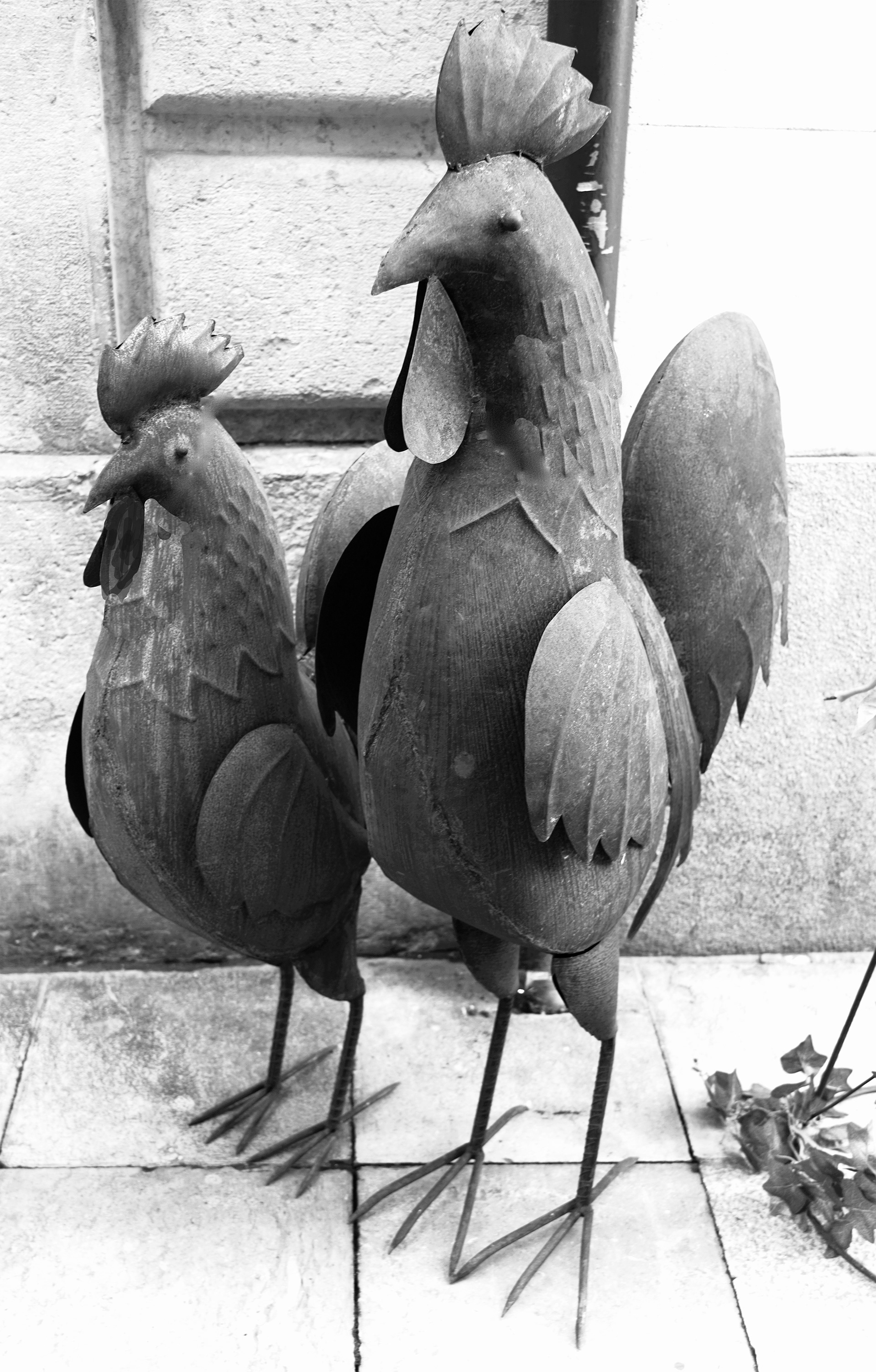 Avui hem sortit a passejar. Estem de festa!