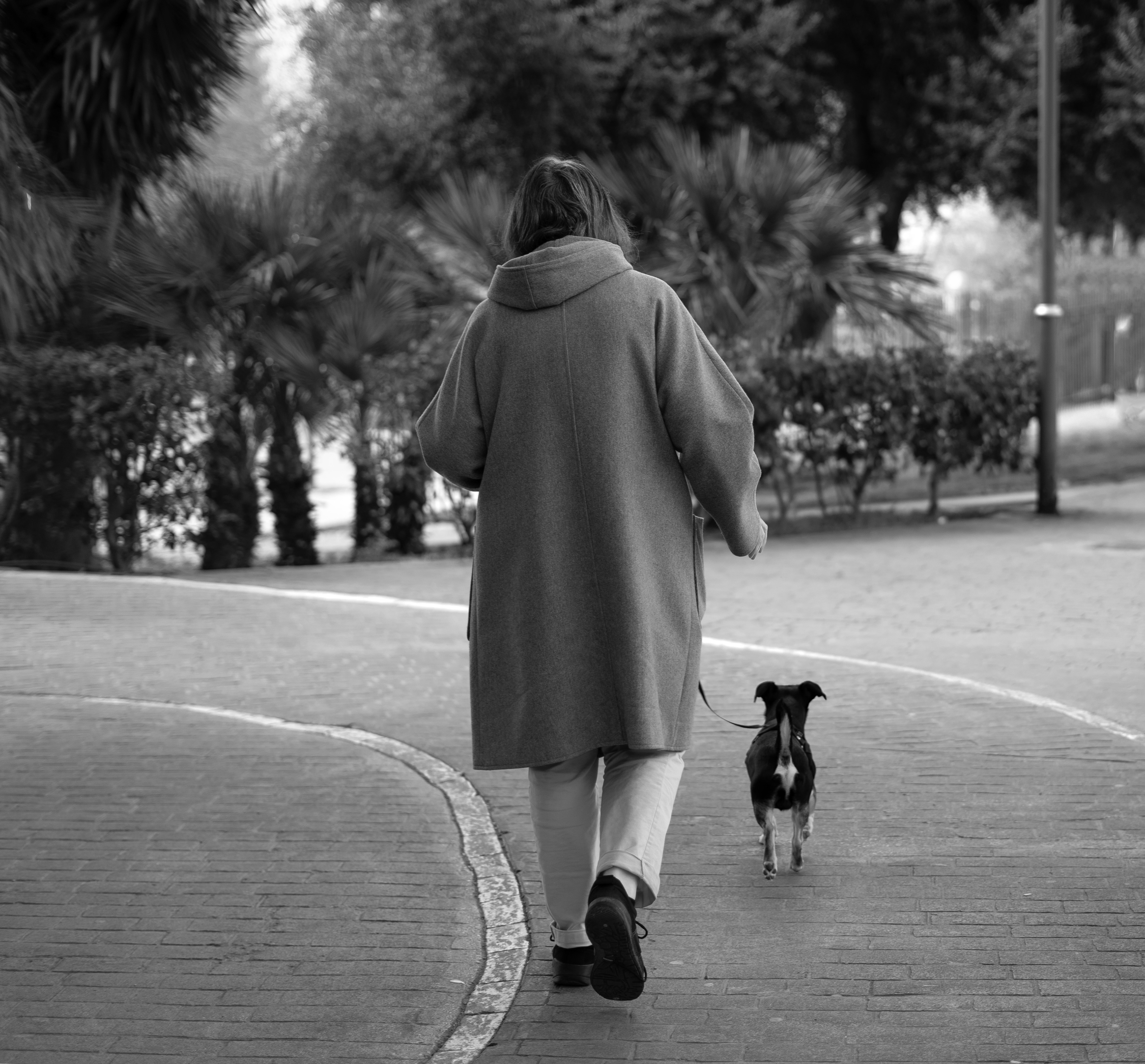 En el revolt del camí, dur-se de passeig.