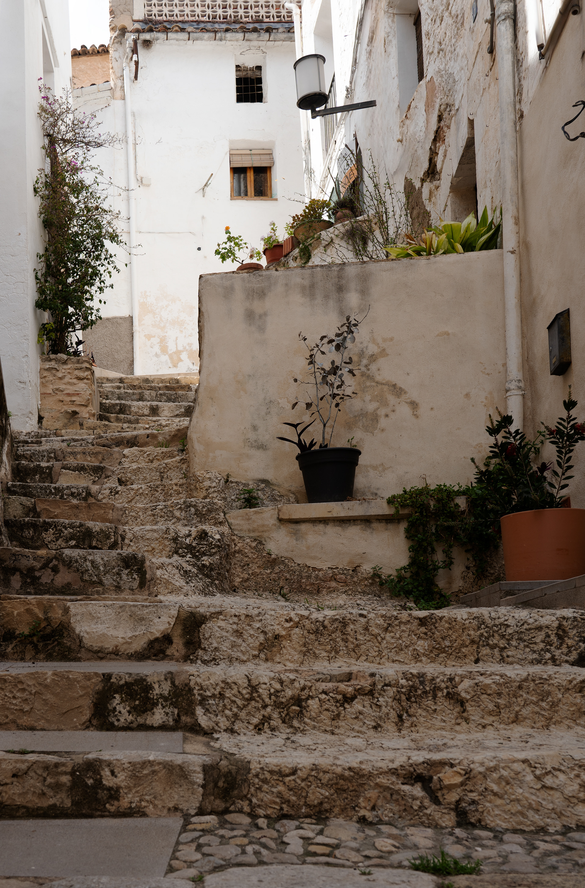 Pujar, baixar... Una de les formes d'habitar el paradís.