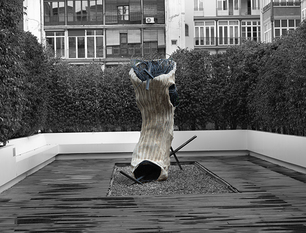 Preguntes i respostes anhelades.