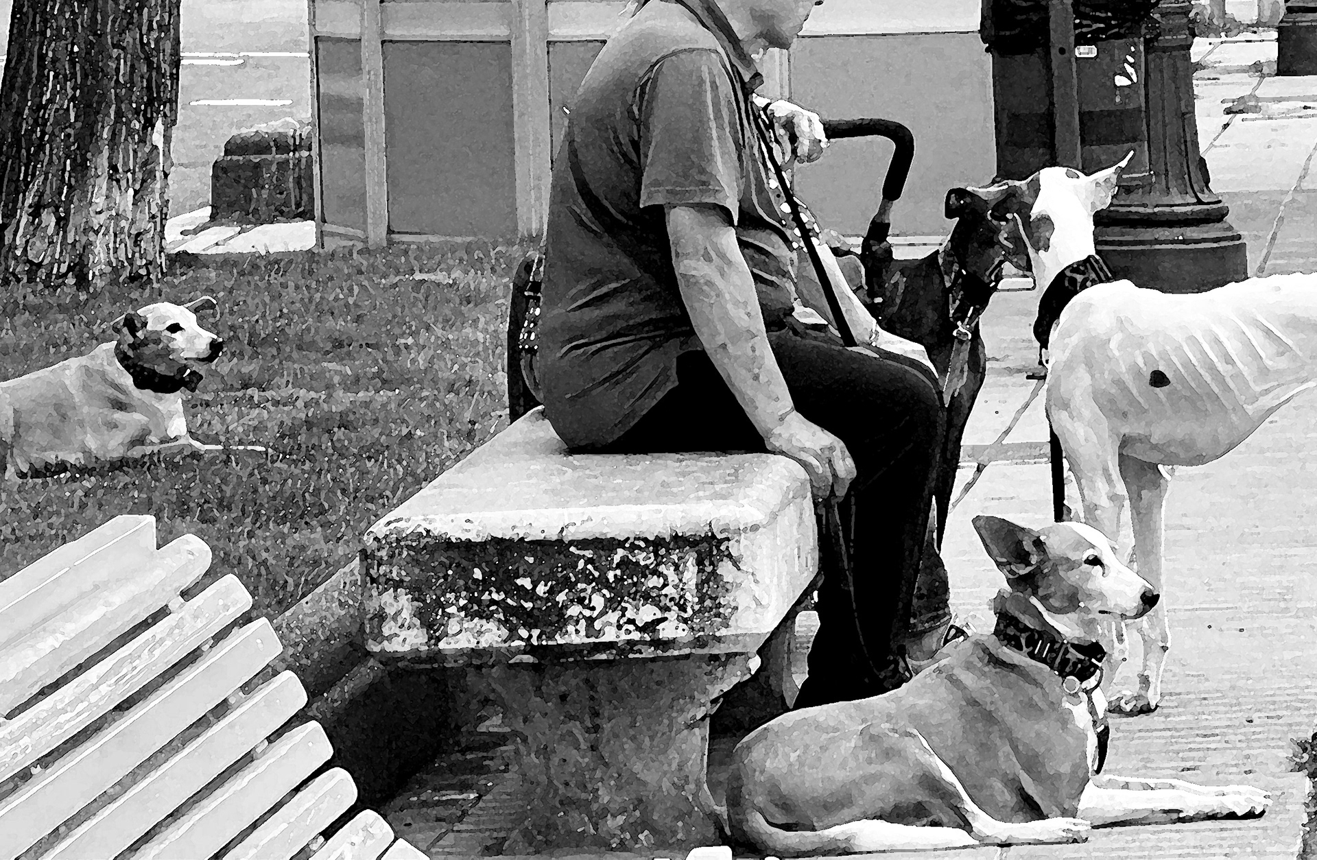 Moment feliç fàcil d'identificar.