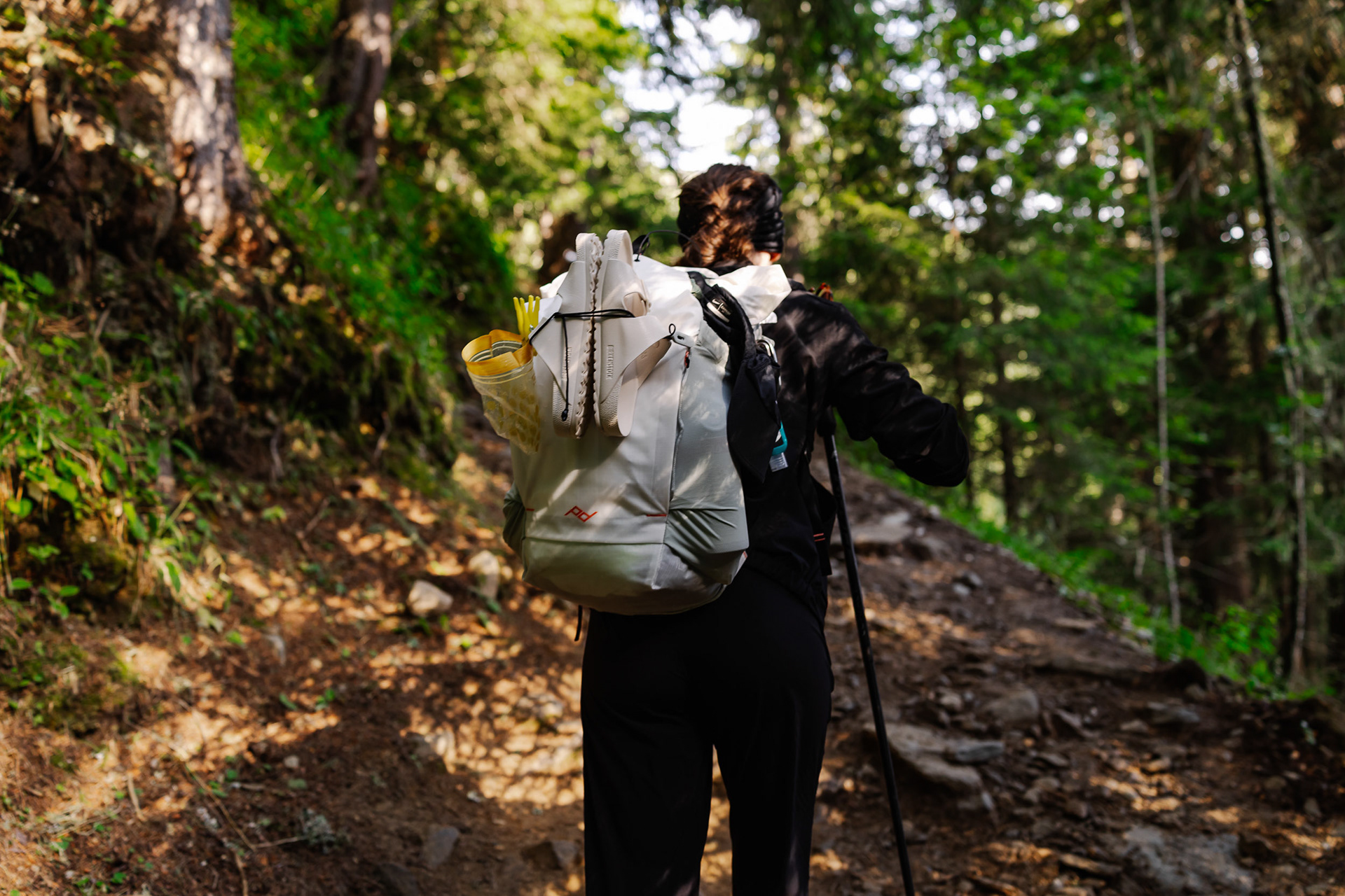 The Hiking Club