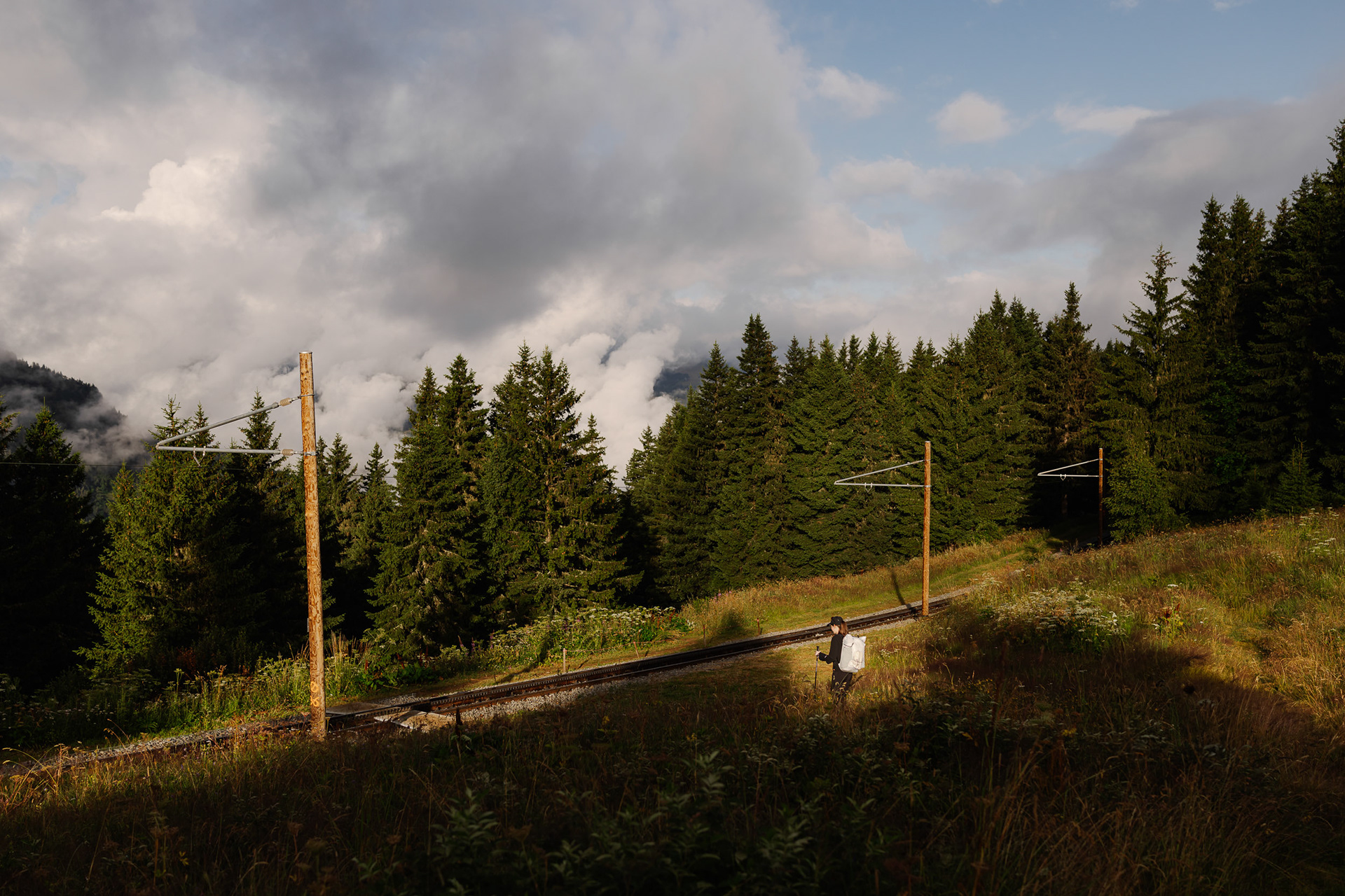 The Hiking Club