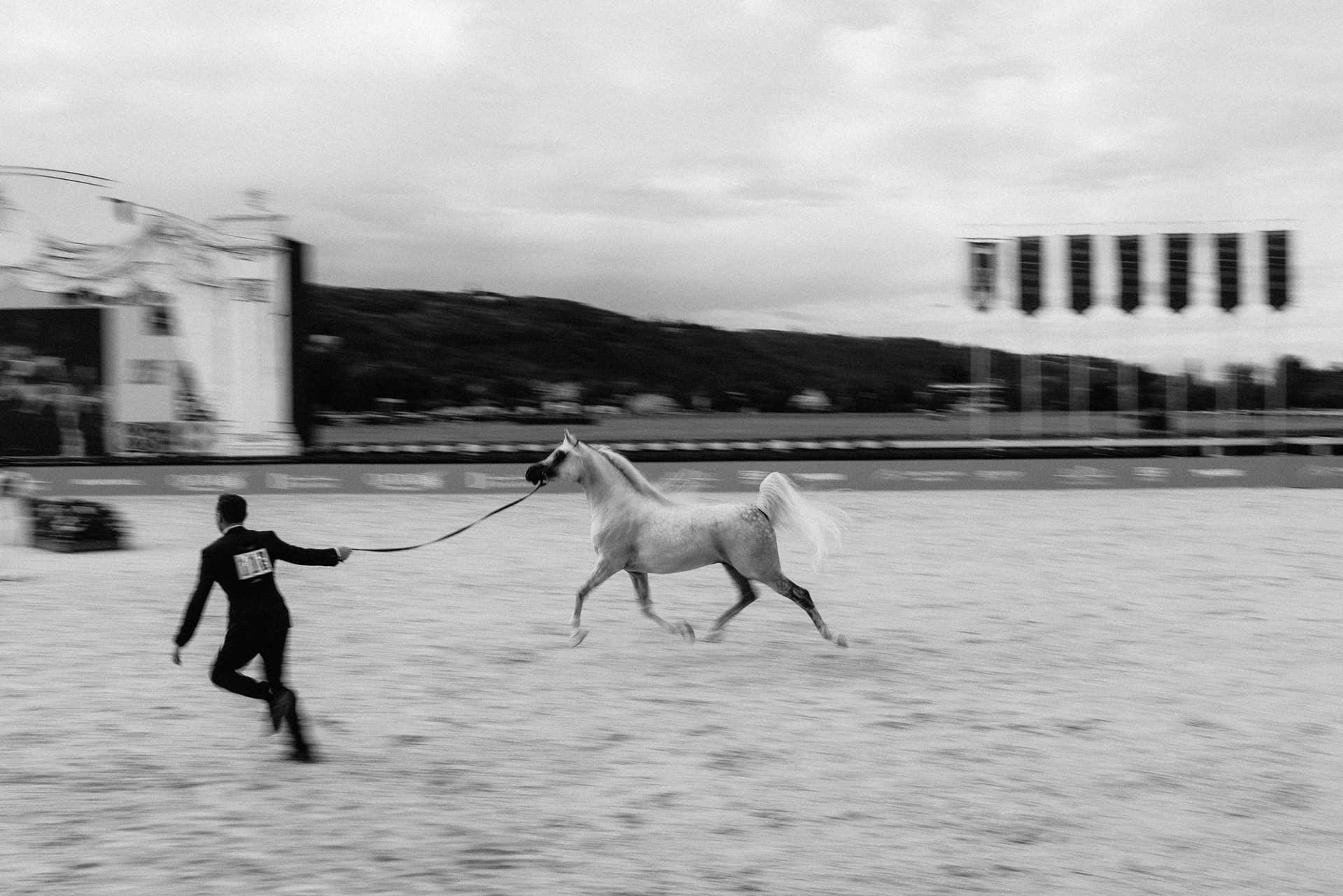 Global Champions Arabians Tour (2025)