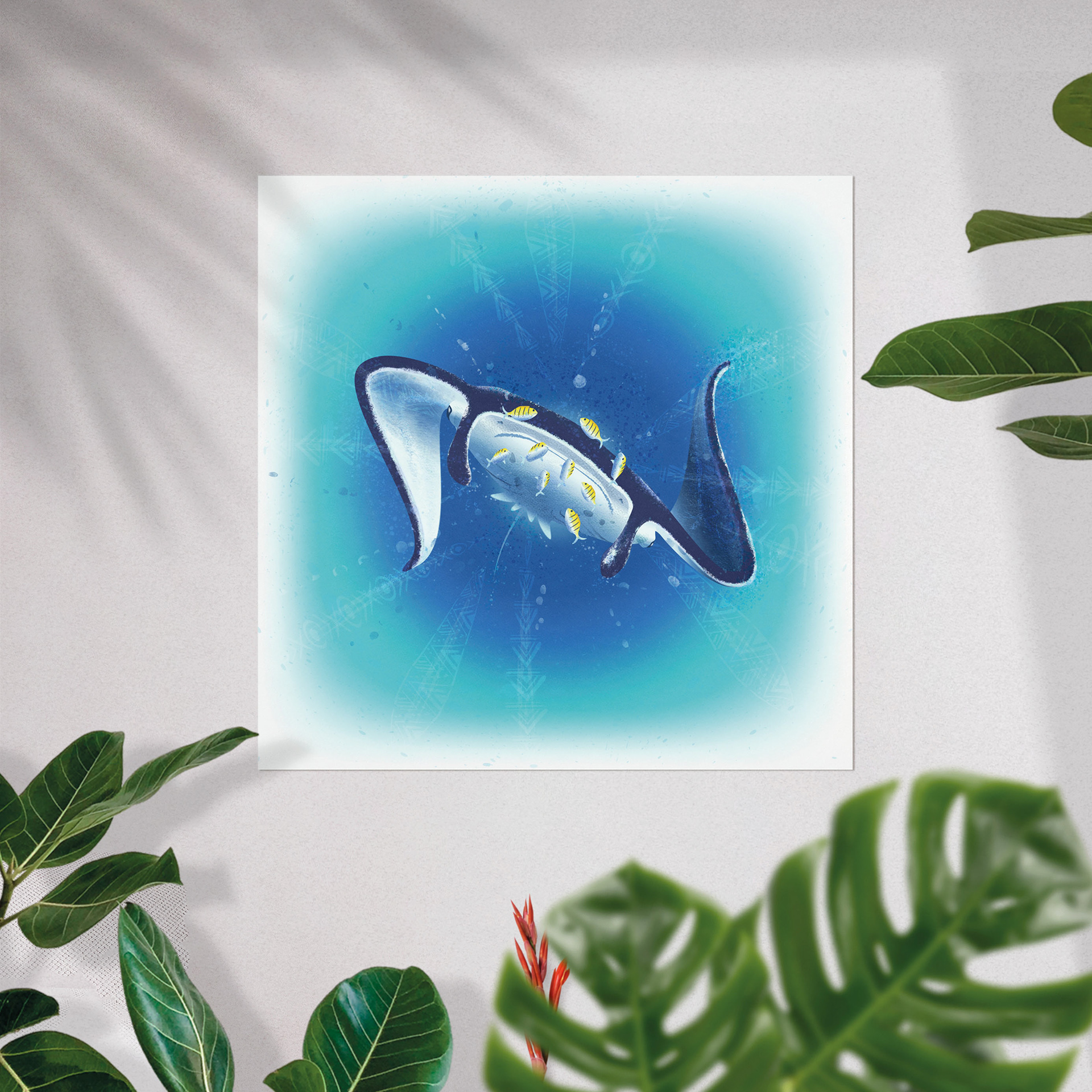 N - Manta Ray