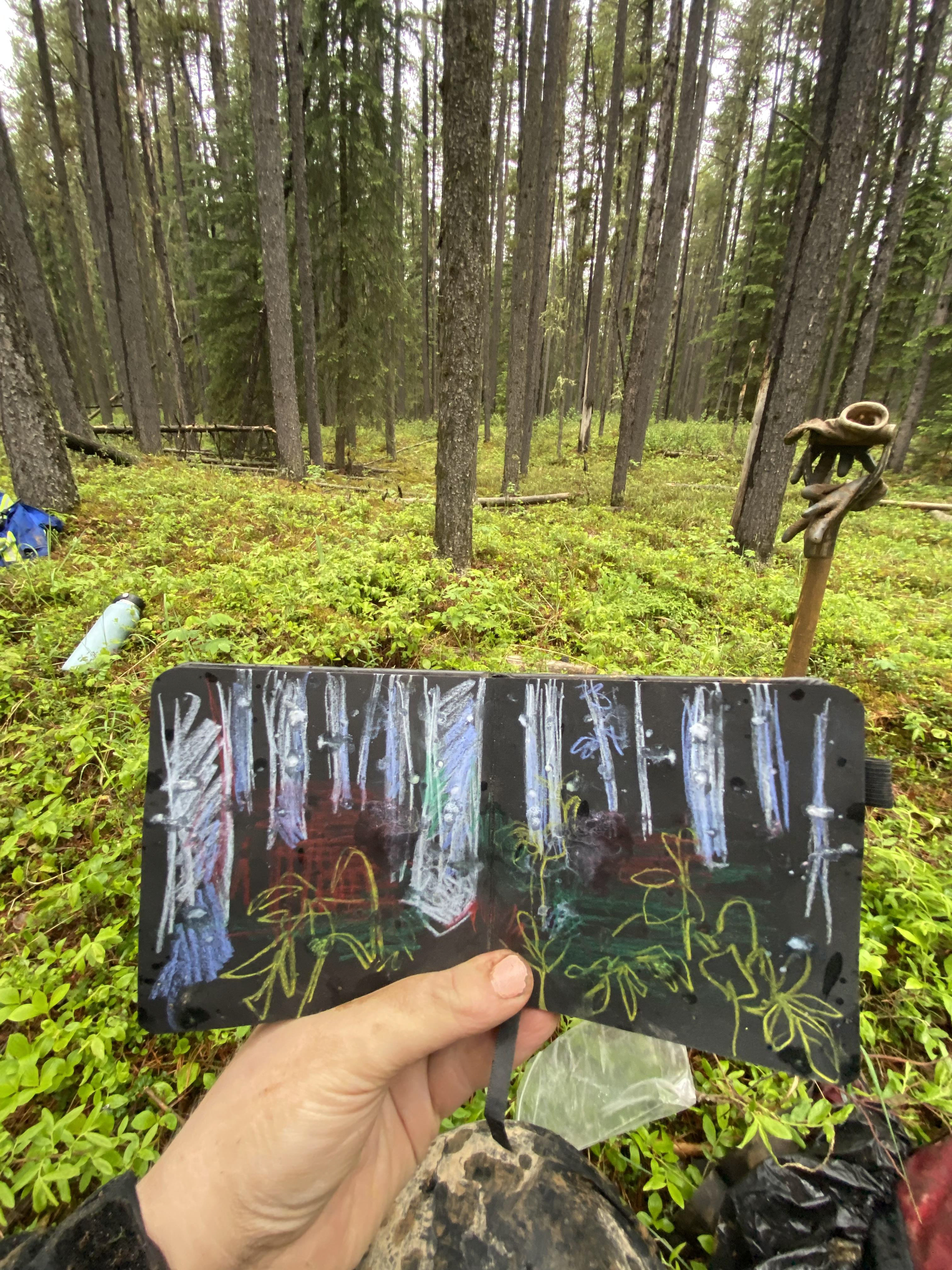 Wax Pastel, 2023. Boreal Forest.