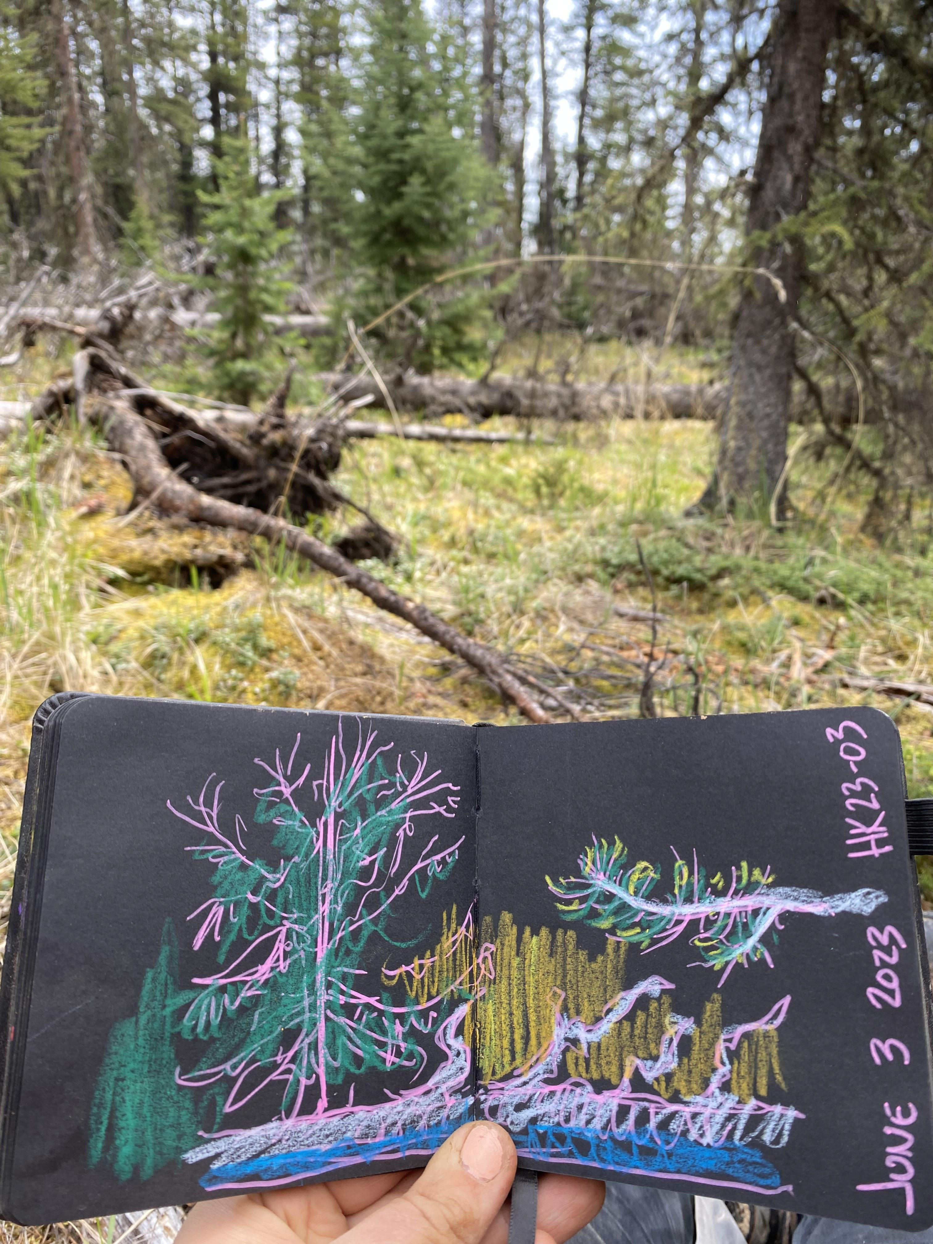 Wax Pastel and Acrylic Pen, 2023. Boreal Forest.