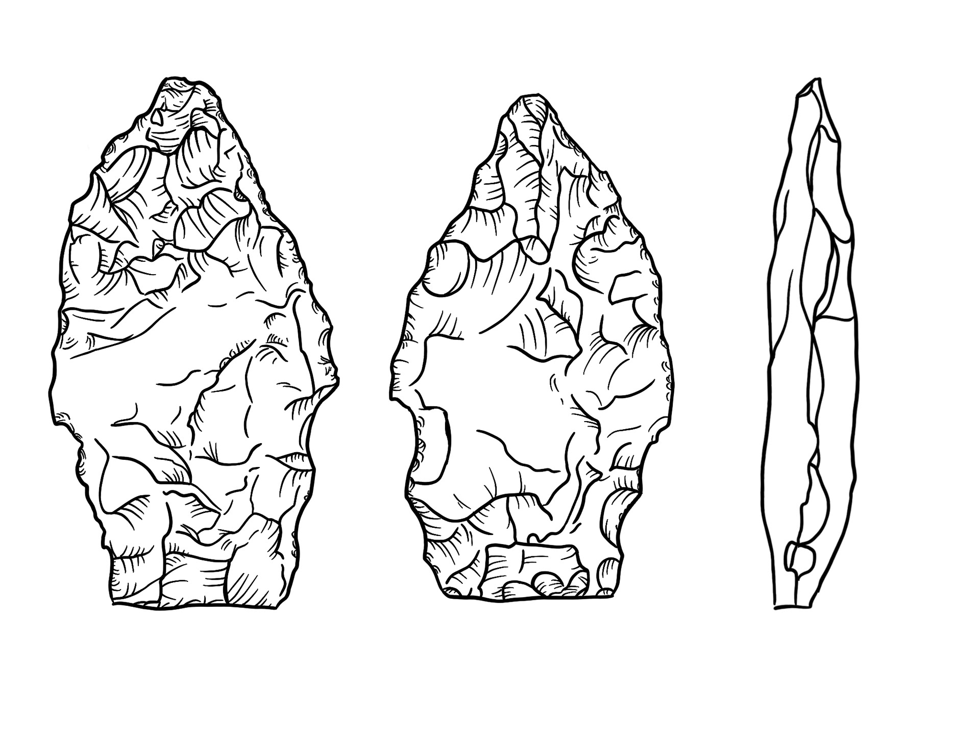 Projectile Point, 2023.