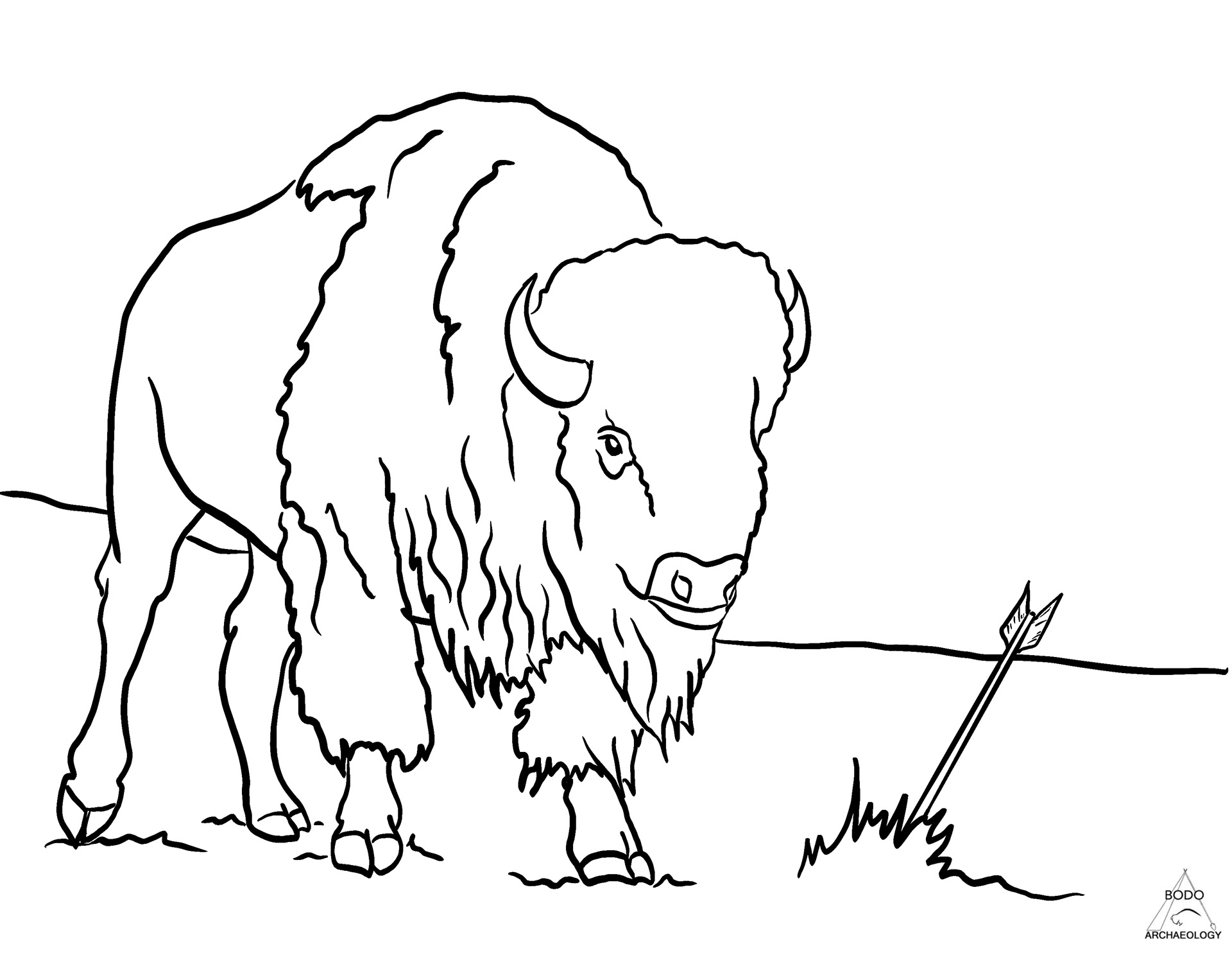 Colouring Page, 2021. Bodo Archaeology