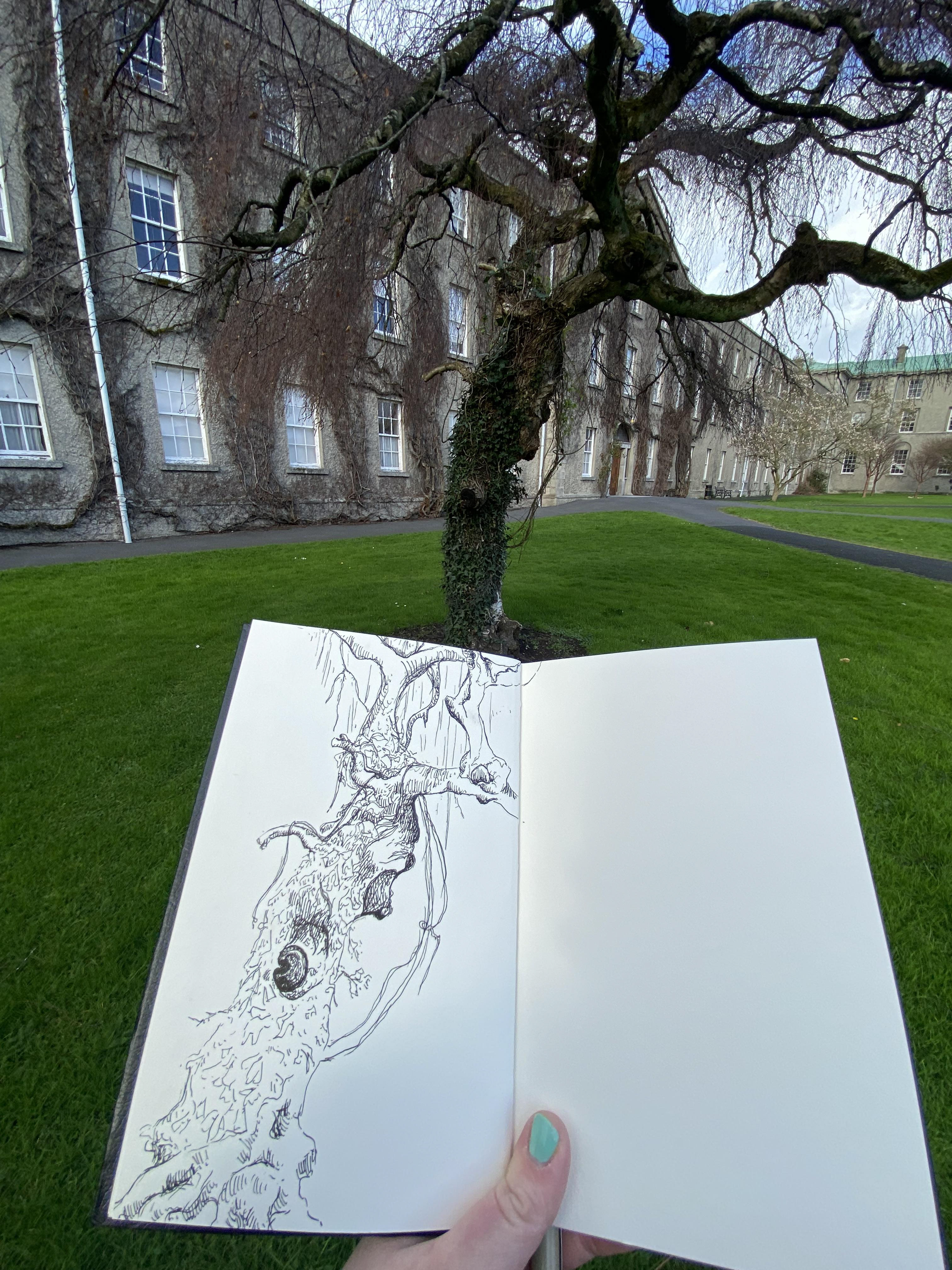 Ink, 2023. Maynooth.