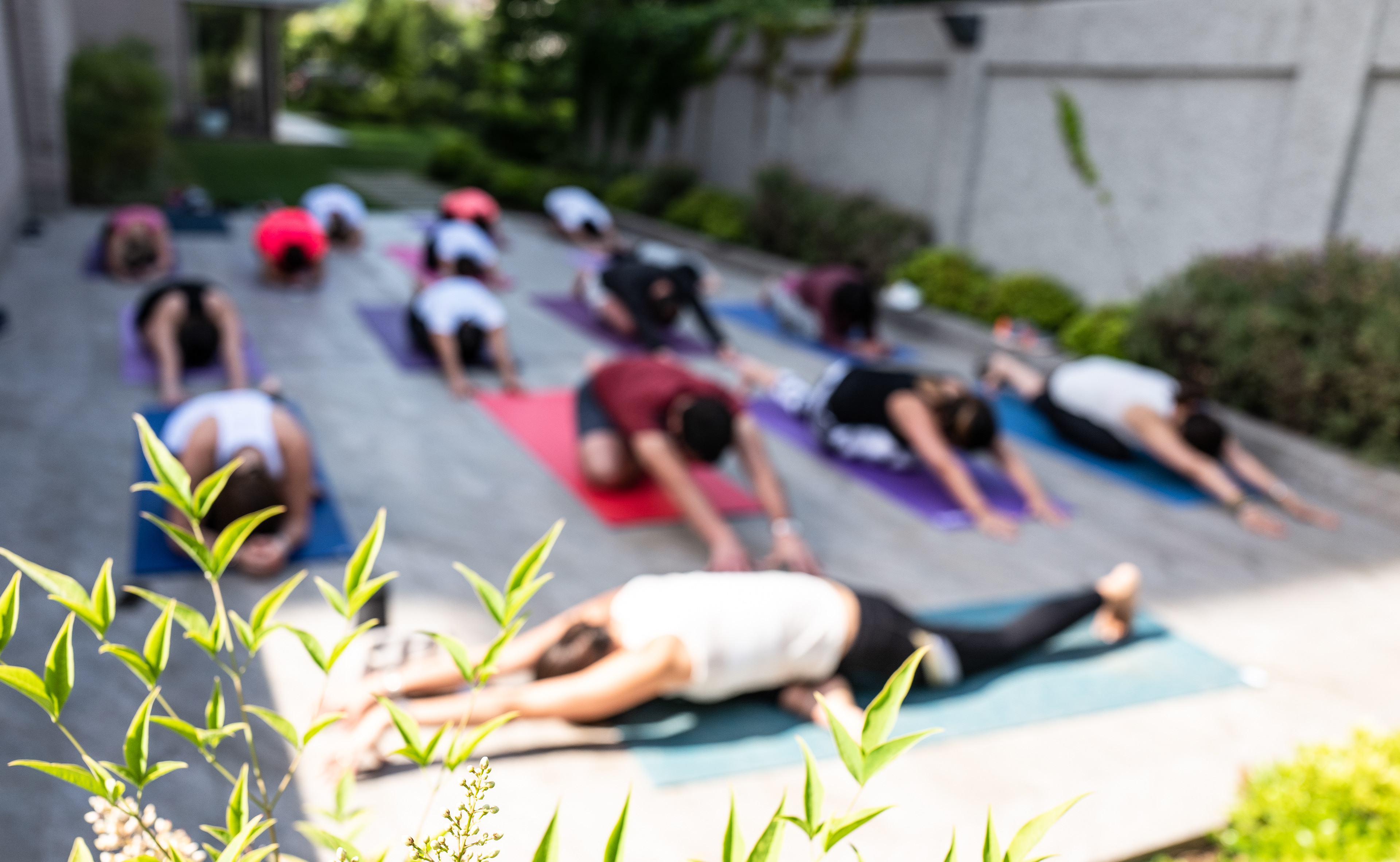 YOGA & NUTRICION | TANIA MARTI YOGA & DANIELA HERRERA NUTRI