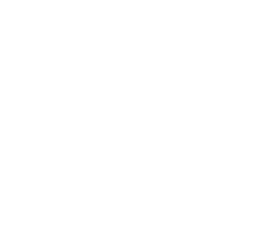 Max Ammo