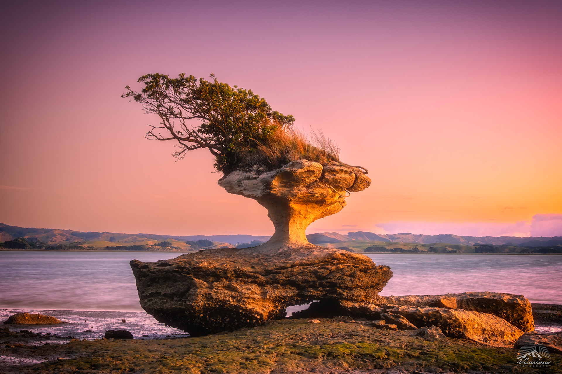 Lonely Rock | Kawhia