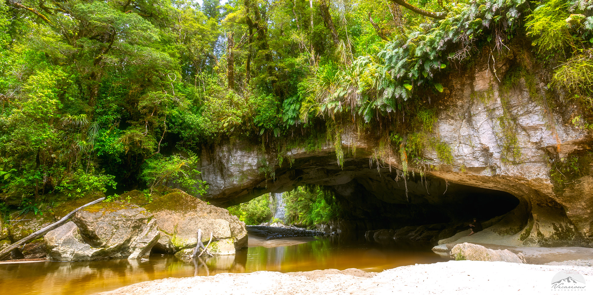 Moria Ach | Oparara Basin | Buller
