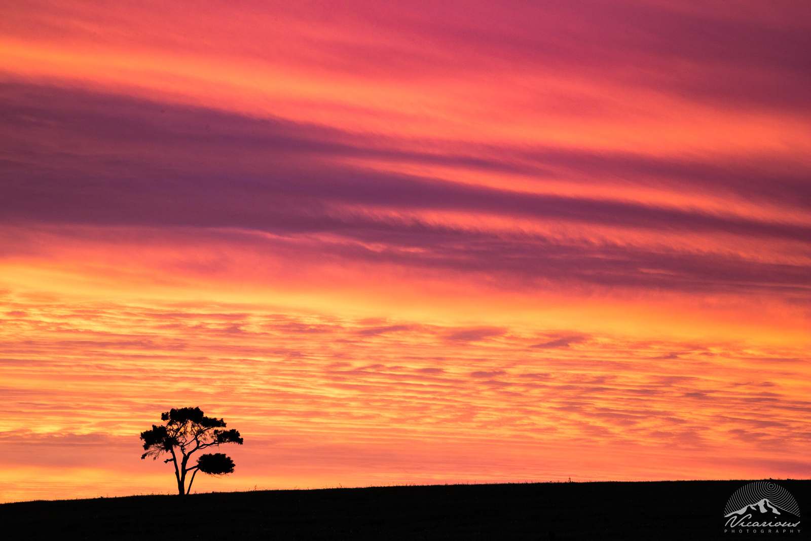 End Of Days | Wiremu | Taranaki