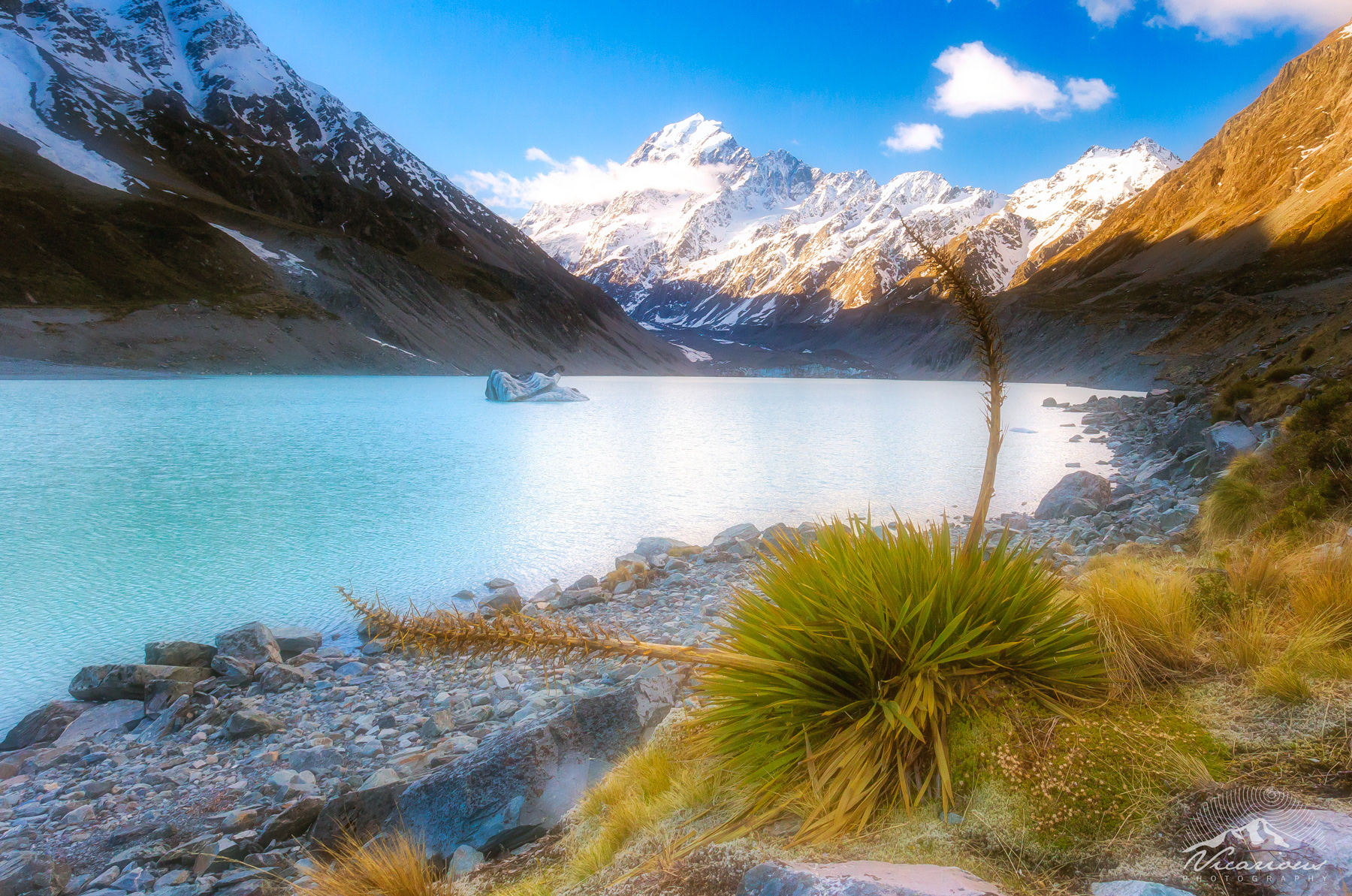 The Berg | Hooker Lake | Mount Cook