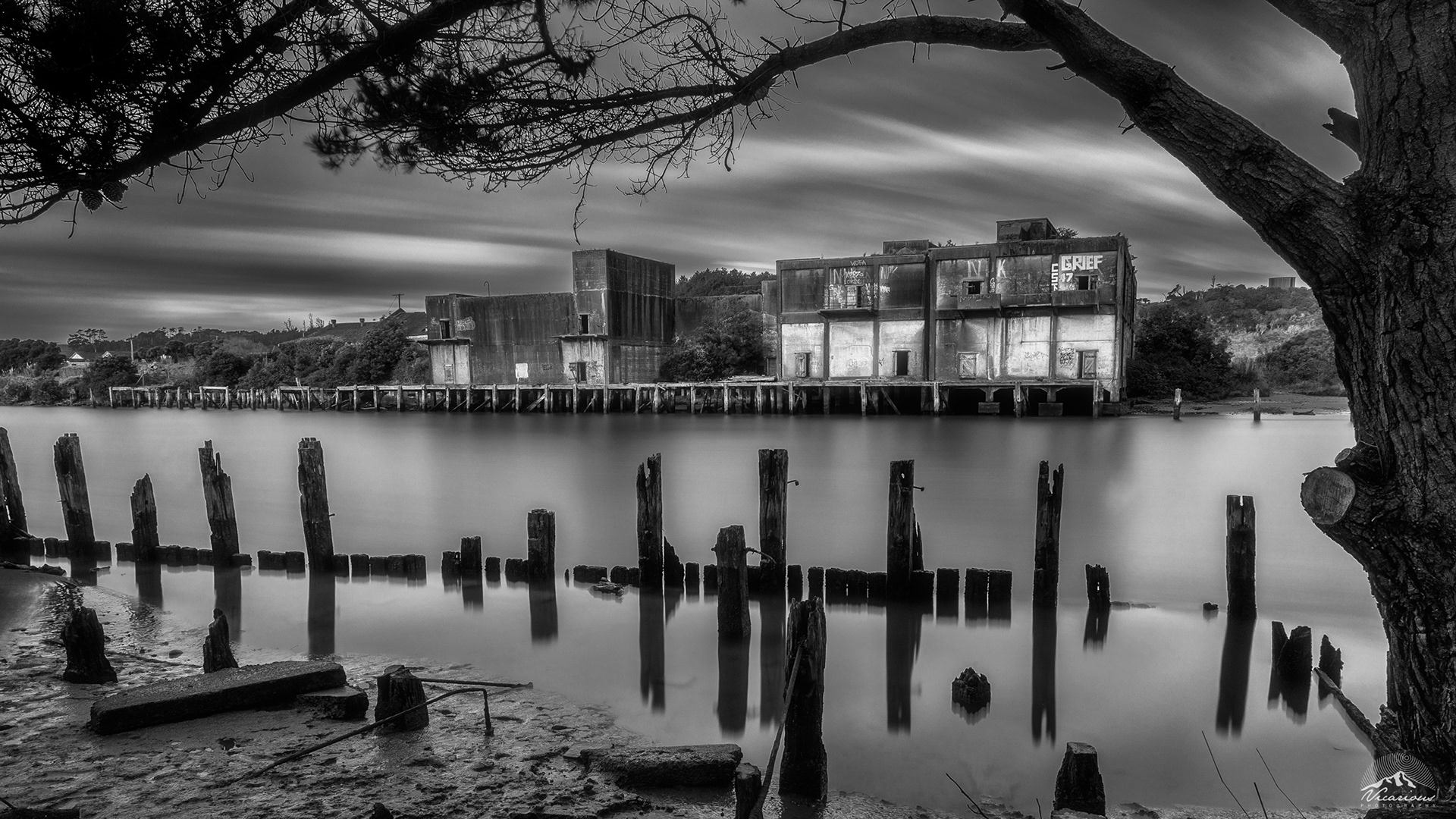 Patea Coolstores | Taranaki