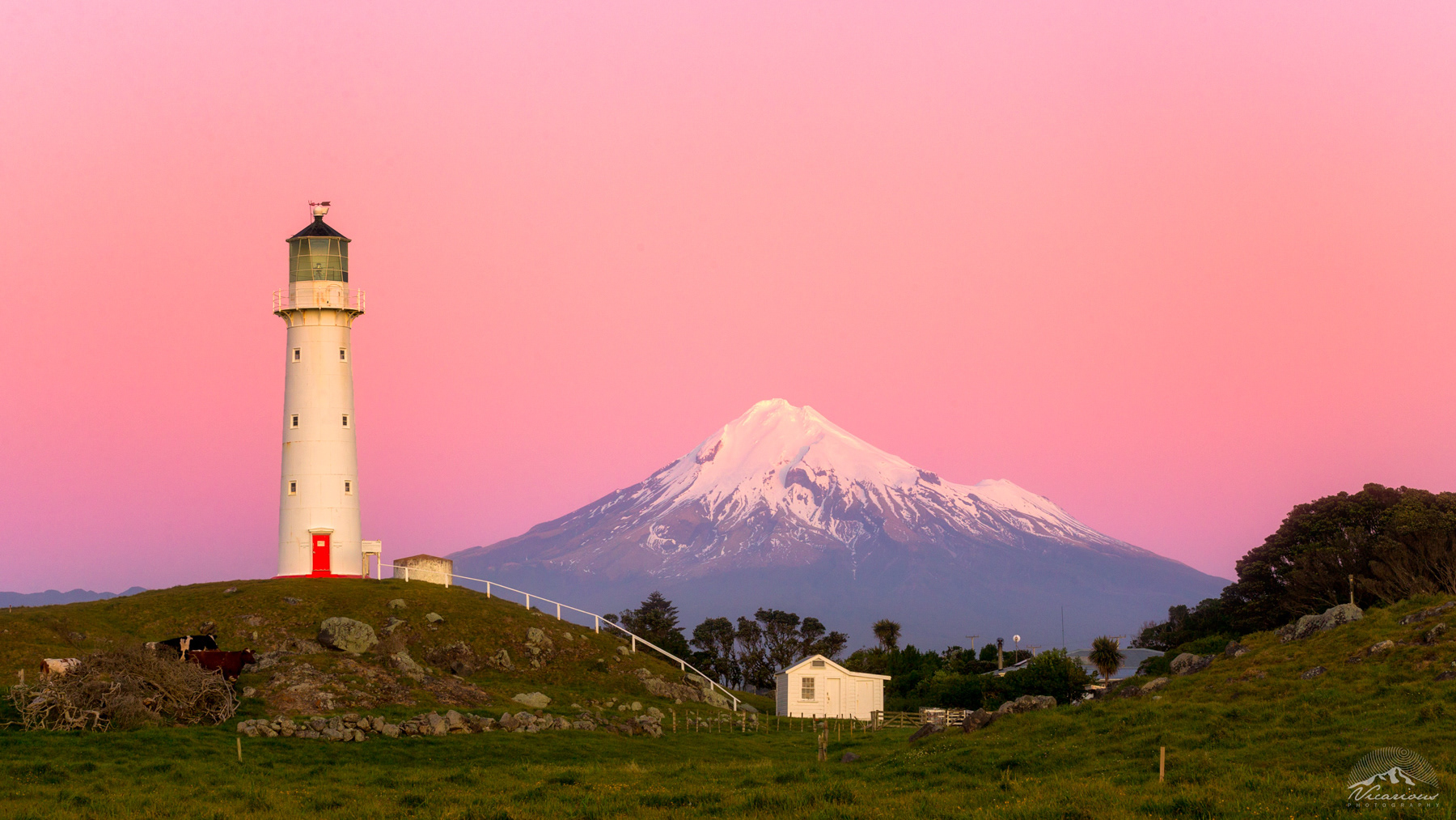 The Cape | Cape Egmont | Taranaki