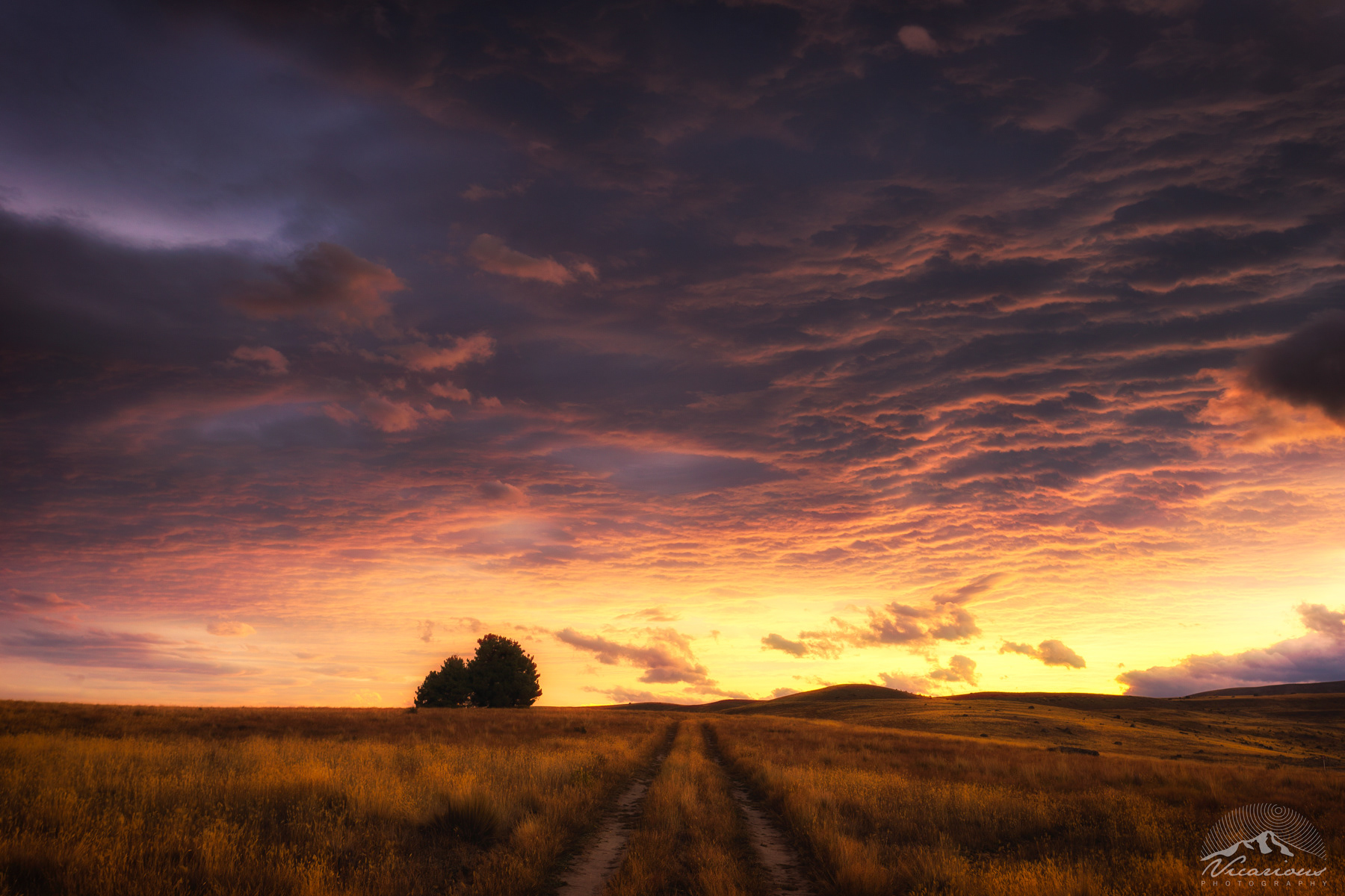 Storm Brewing | Lake Alexandrina
