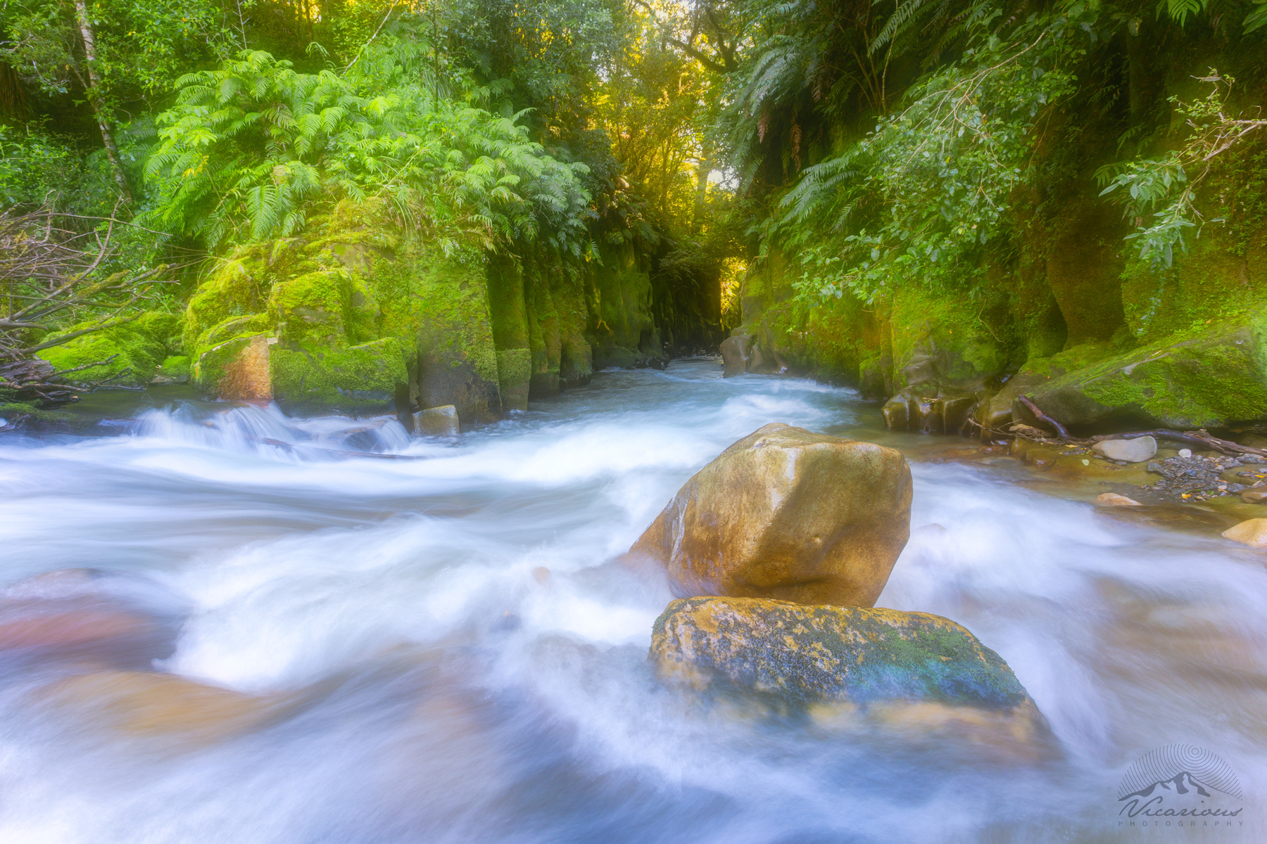 The Chasm | Whirinaki River | Bay Of Plenty