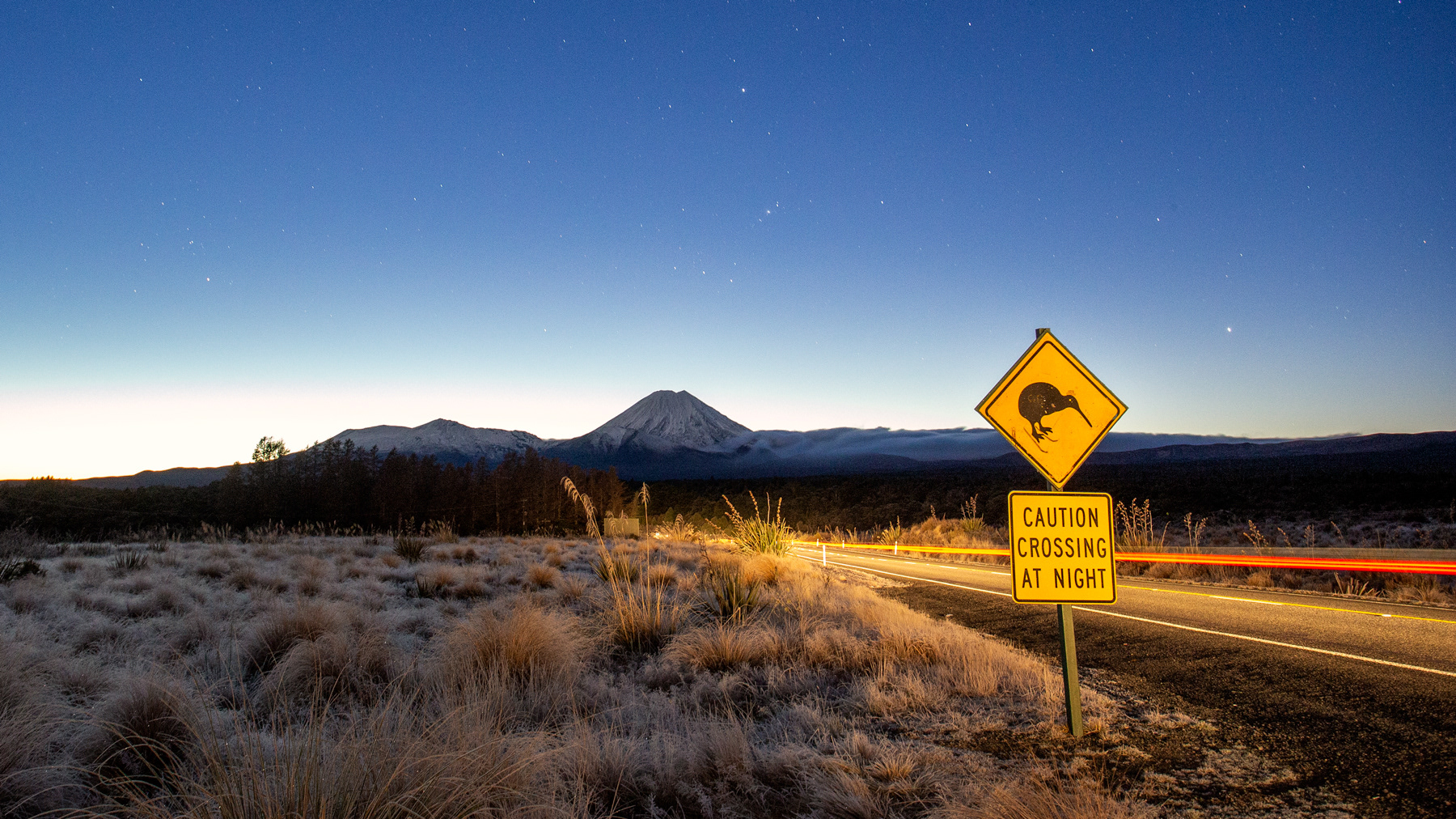 Kiwi Crossing | Tongariro