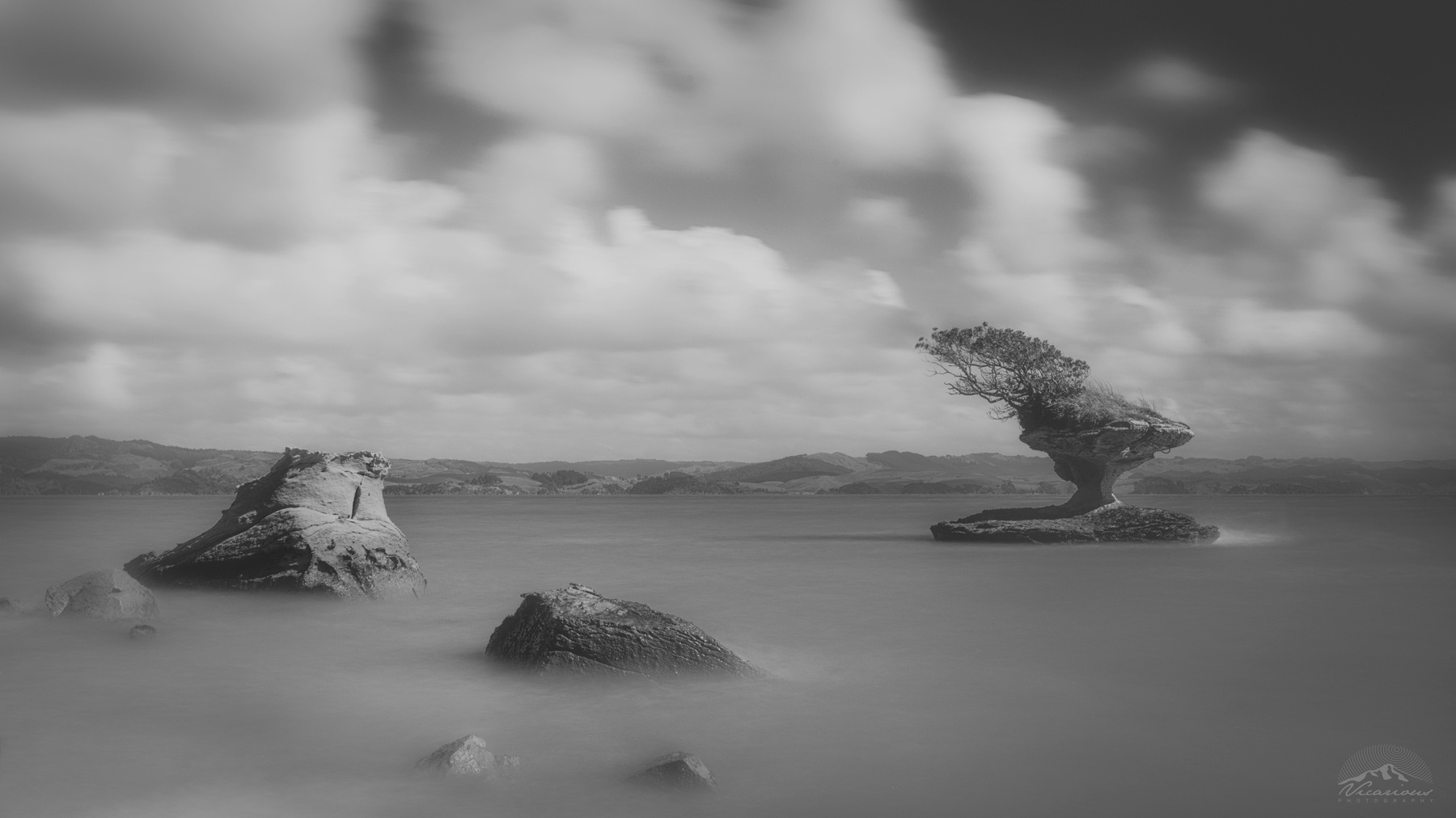Stalwart | Kawhia | Waikato