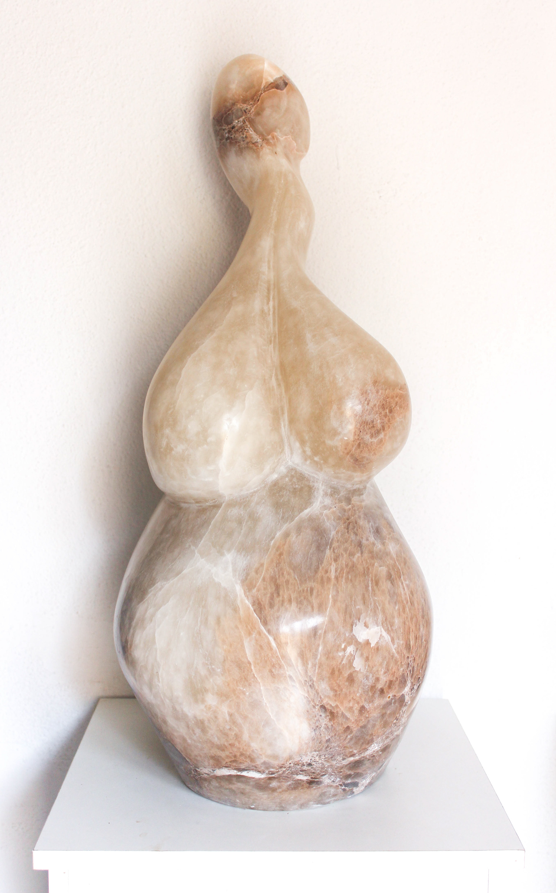 Germen, 70 x 30 x 40 cm. 