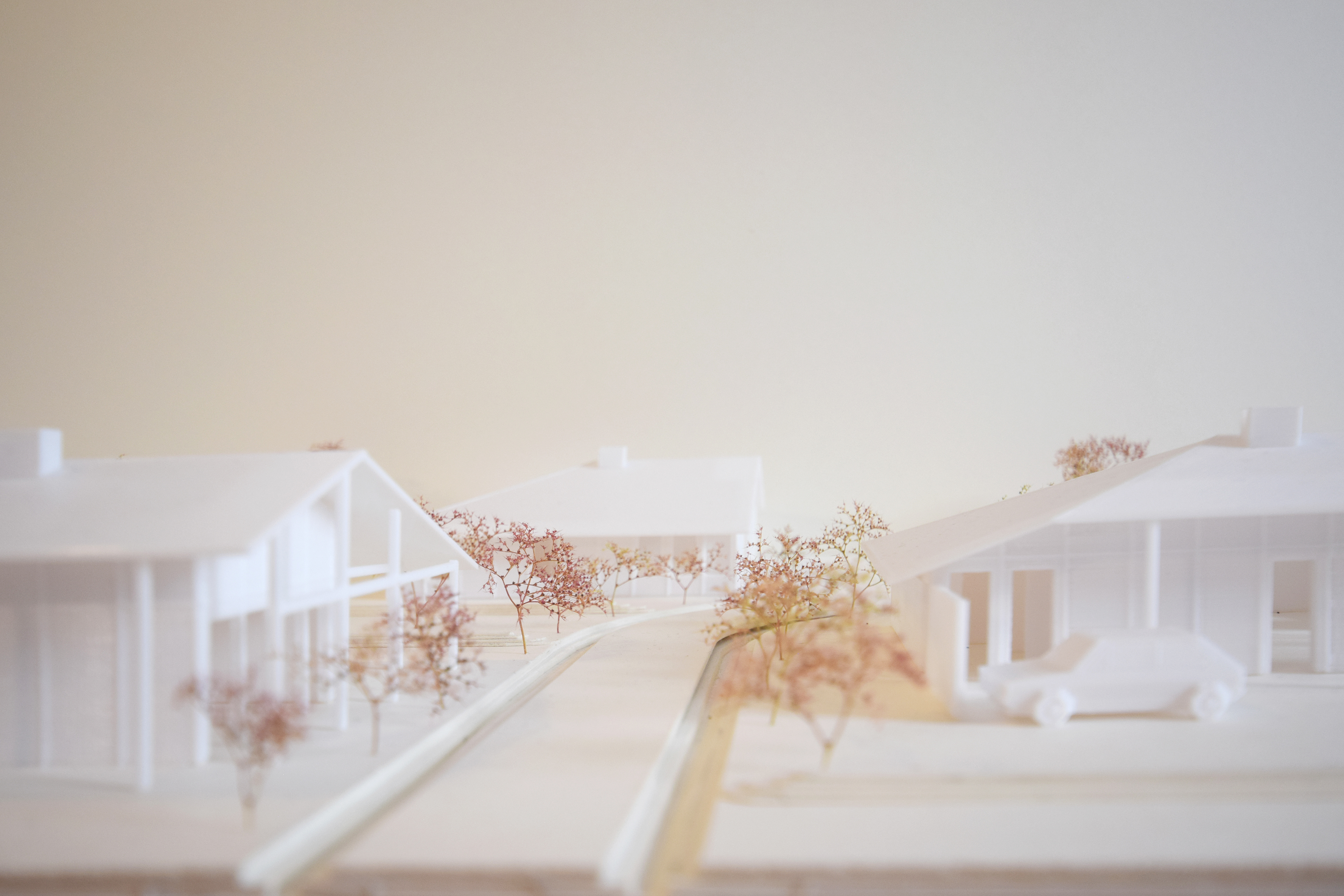 Vision d'un quartier - Les Landes MYthe et écologie