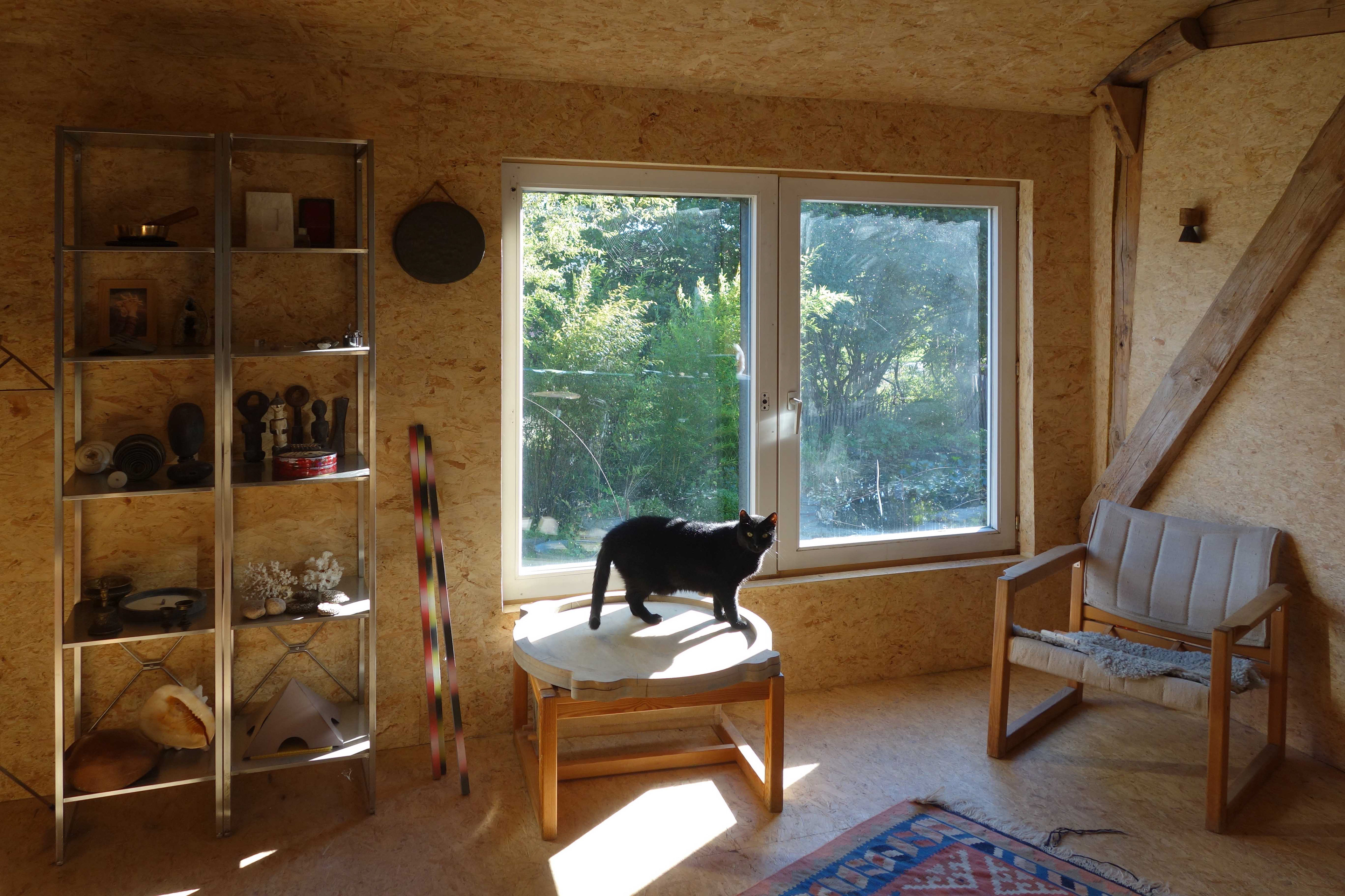 La chat a retrouvé sa place