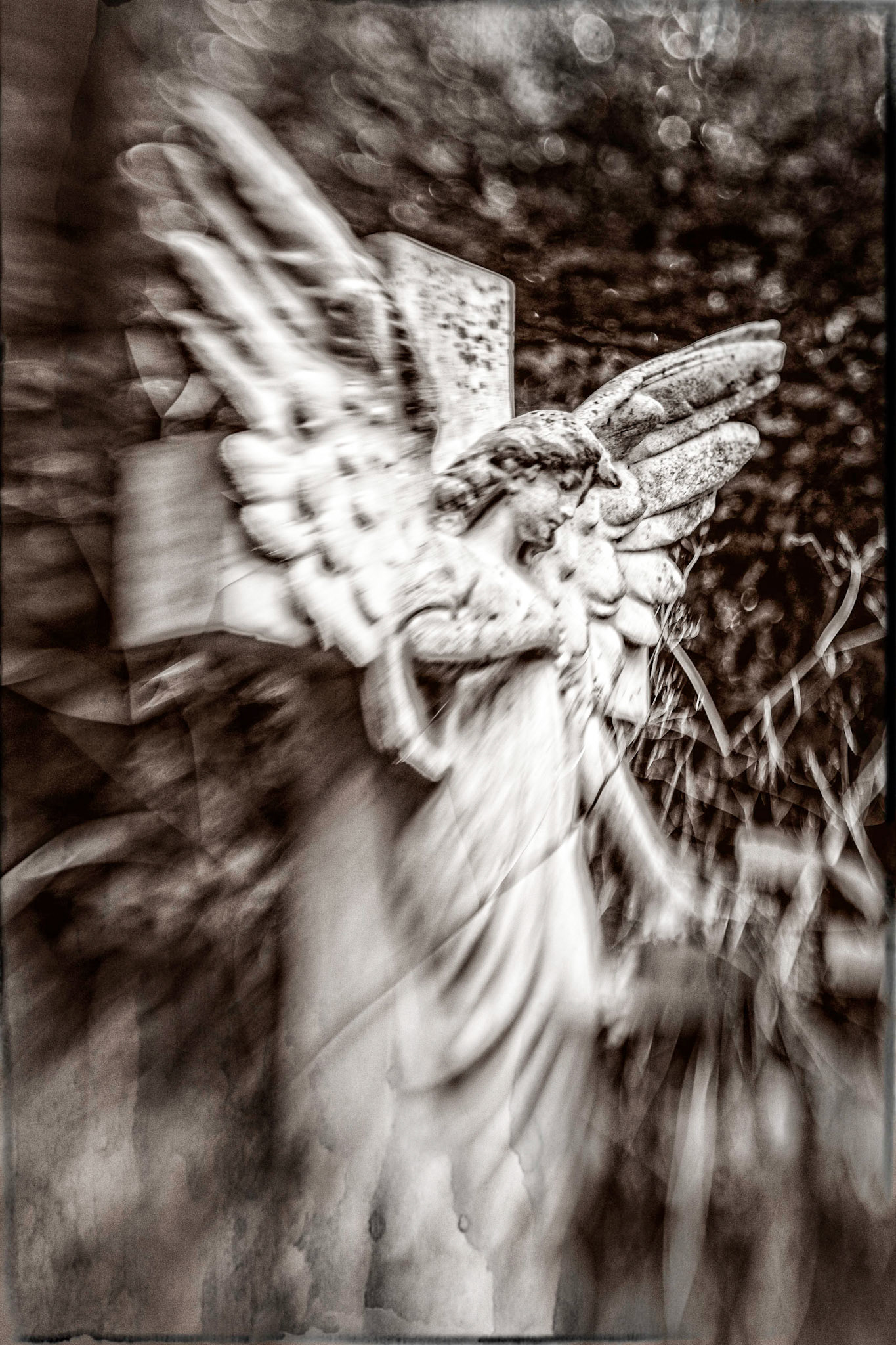 Angel of Mercy