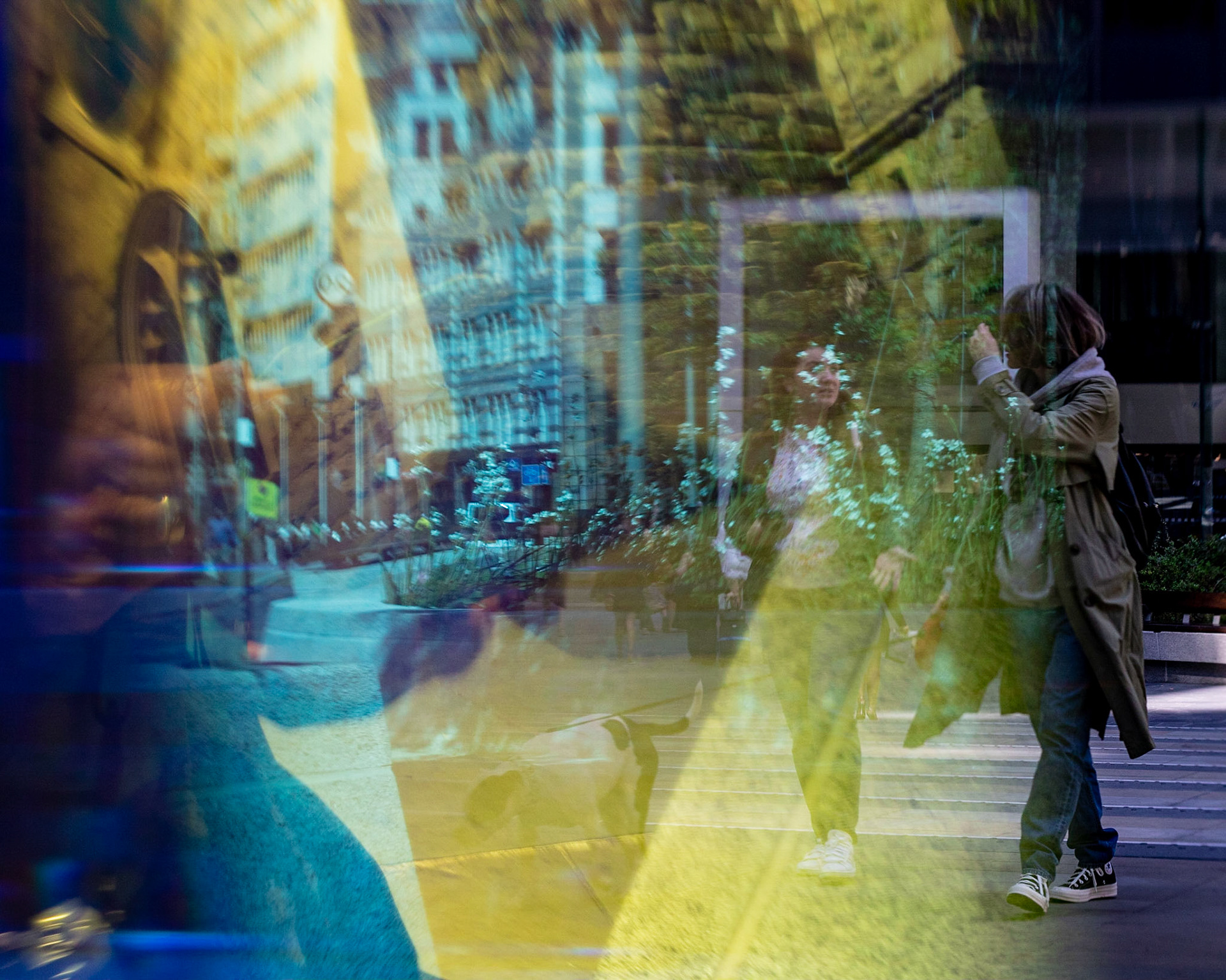 City Confusion