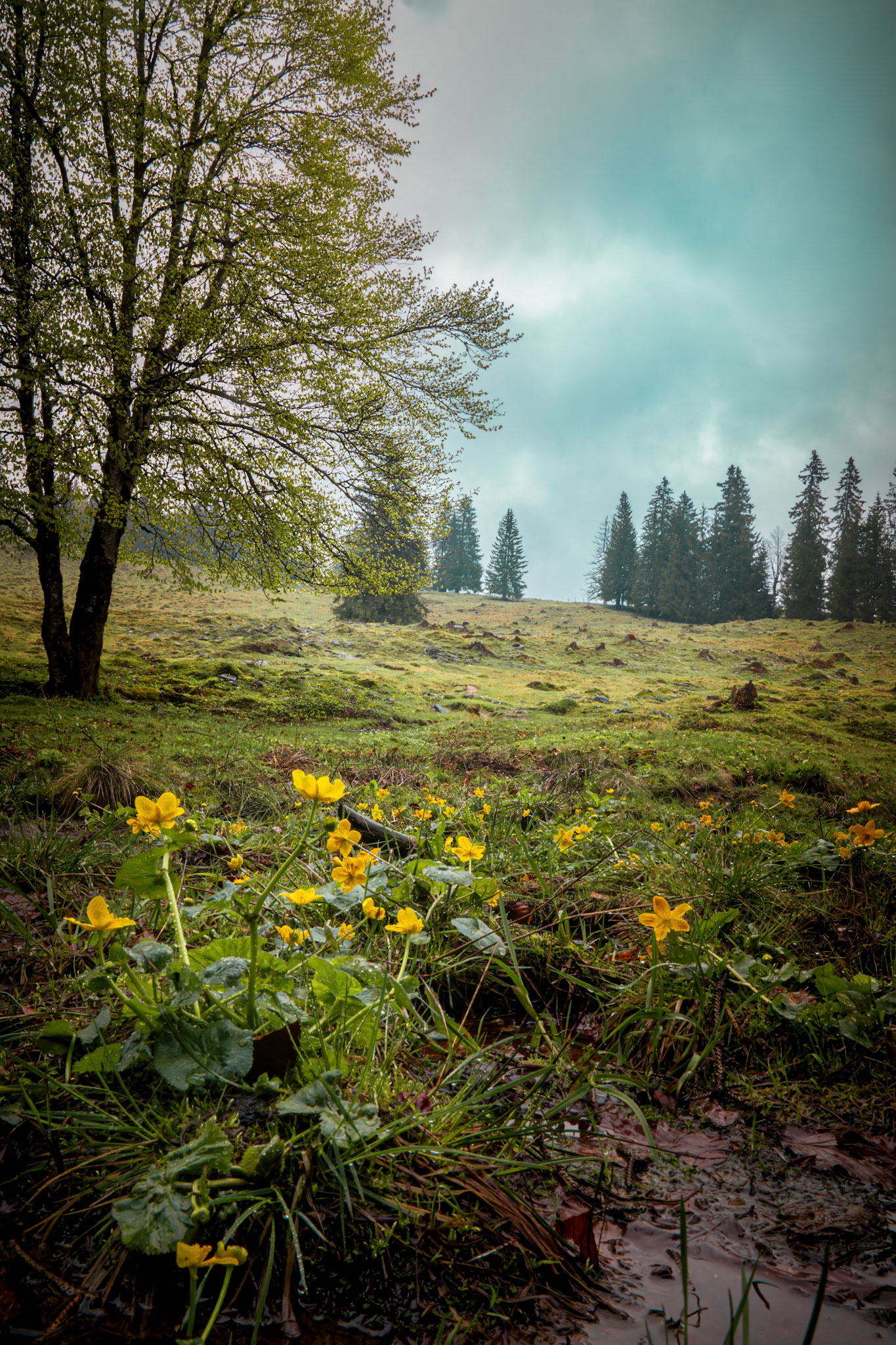 Landschaftsfotografie