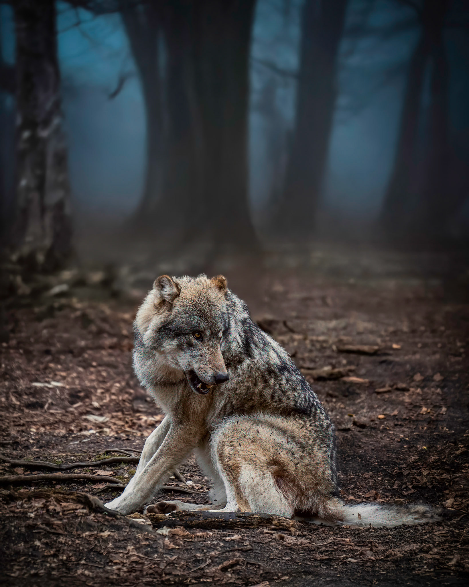 Tiere
