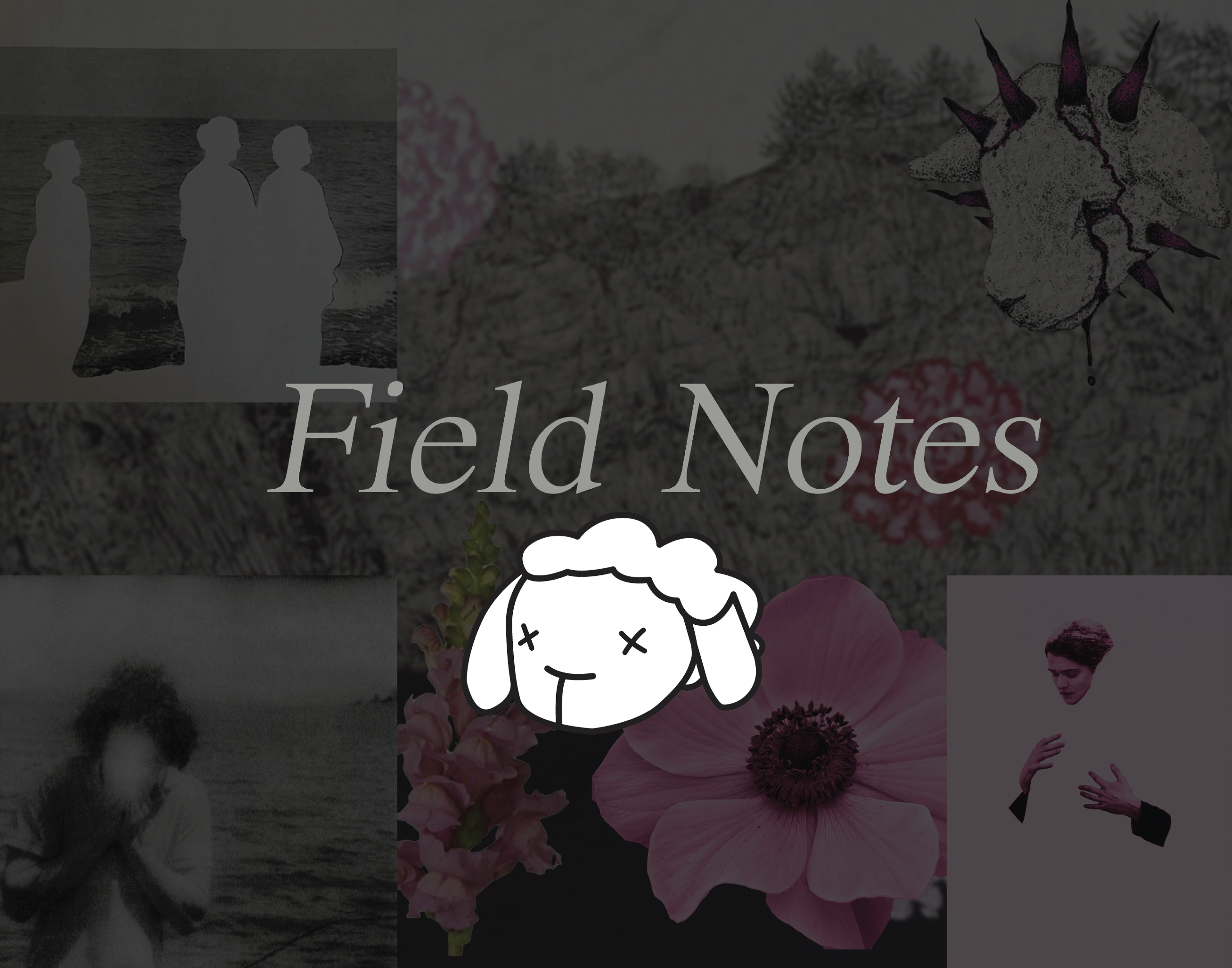 Brand Cover