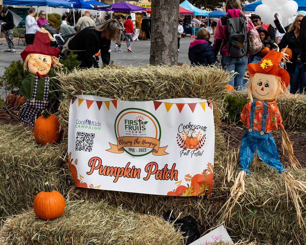 Pumpkin patch banner designed & printed for partner