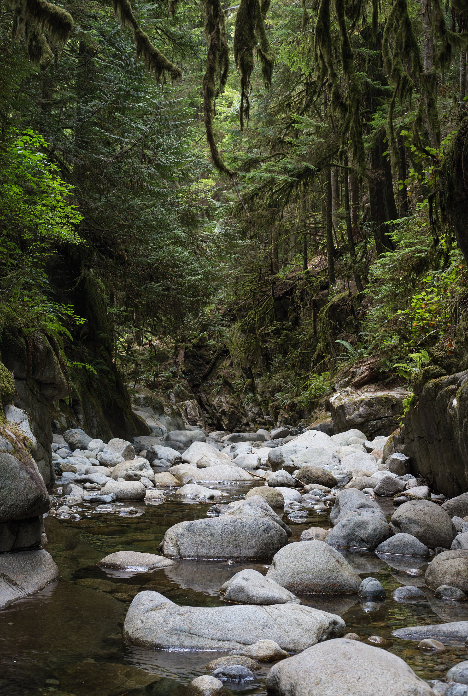 49°21'11.0"N   123°14'17.7"W